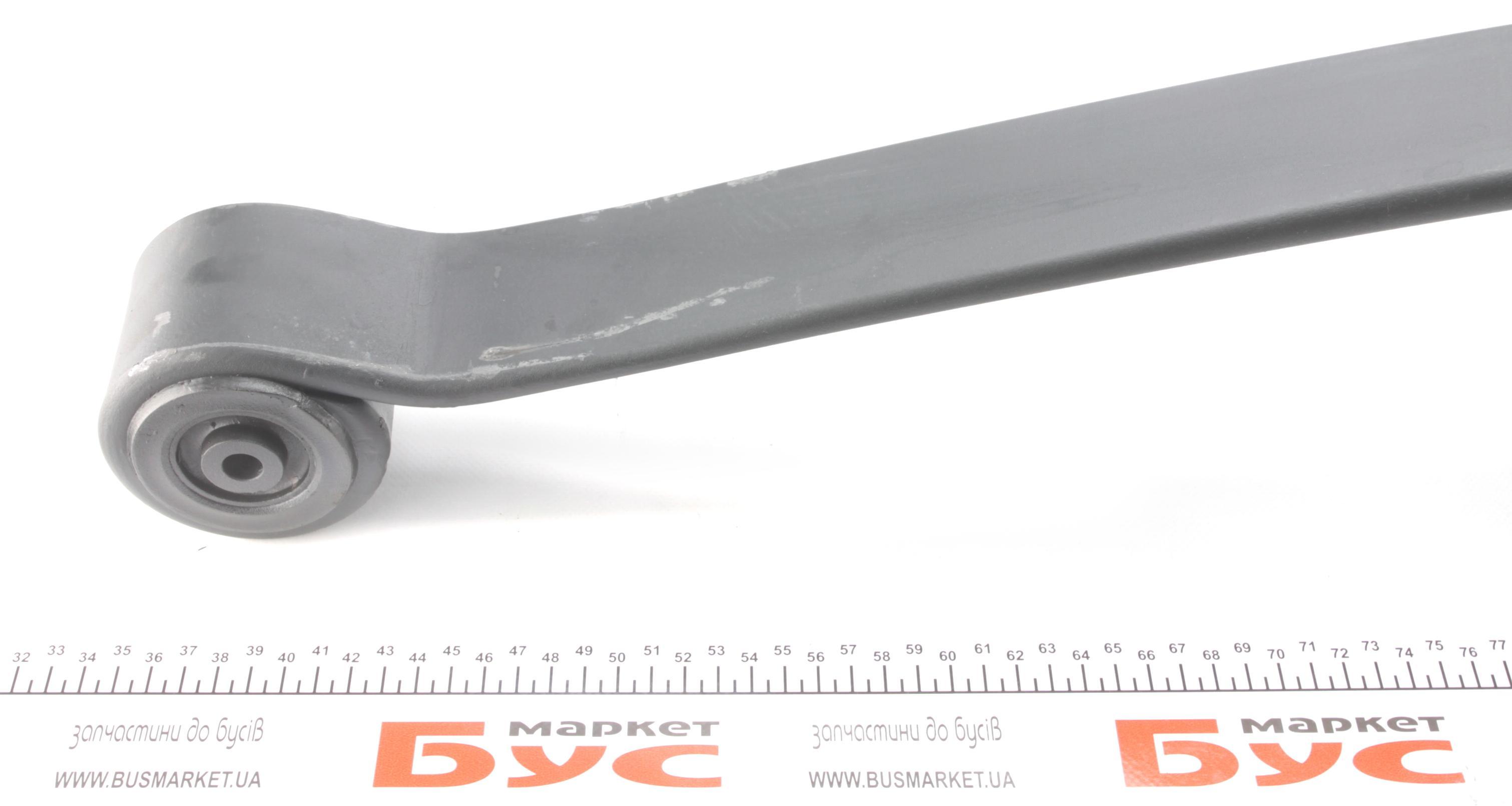 Ресора задня коренева MB Sprinter 209-318/VW Crafter 06- (з пуптиком) (70x740x753) 25mm