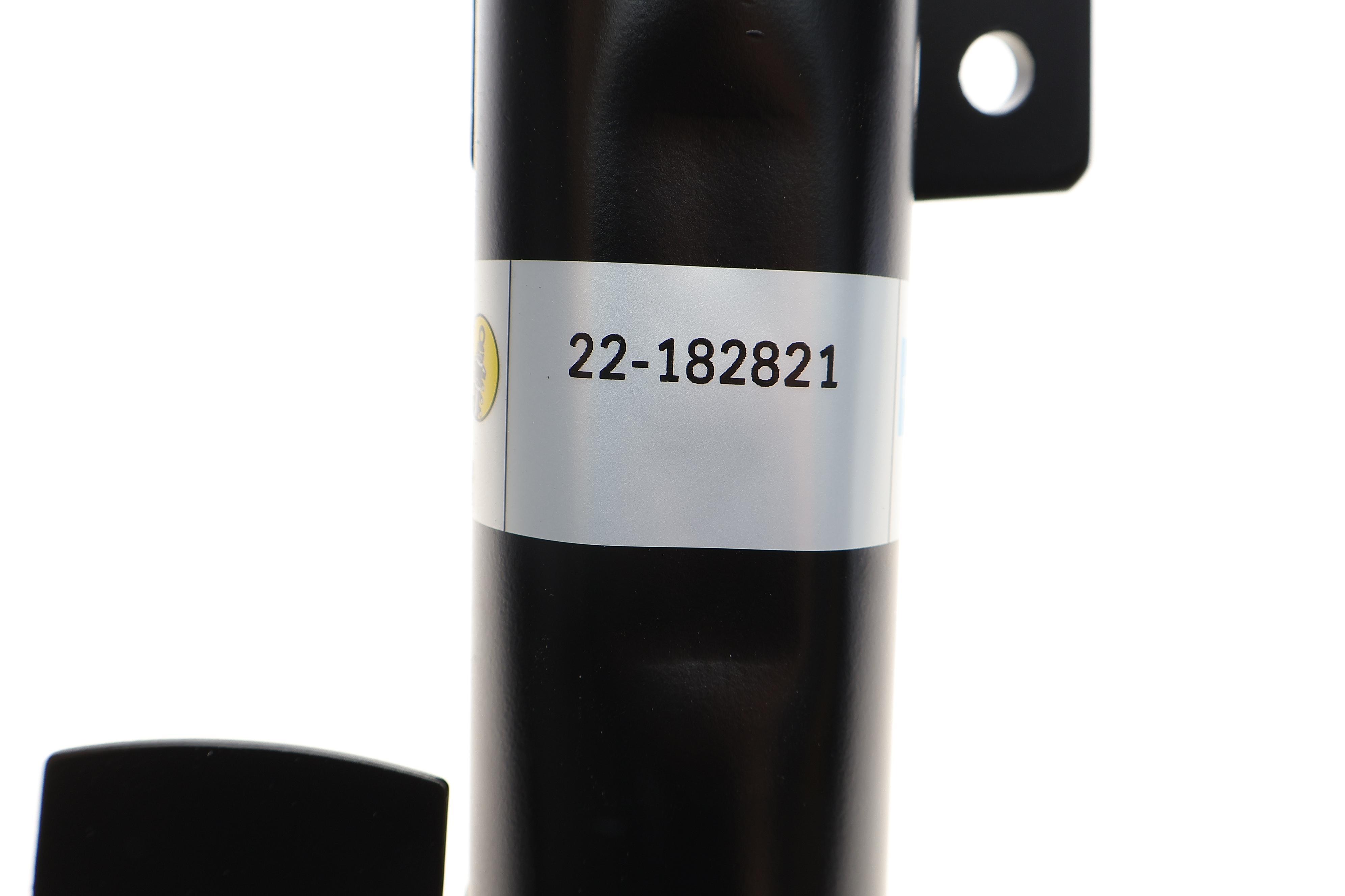 Амортизатор (передній) Ford Kuga 08- (L) (B4)