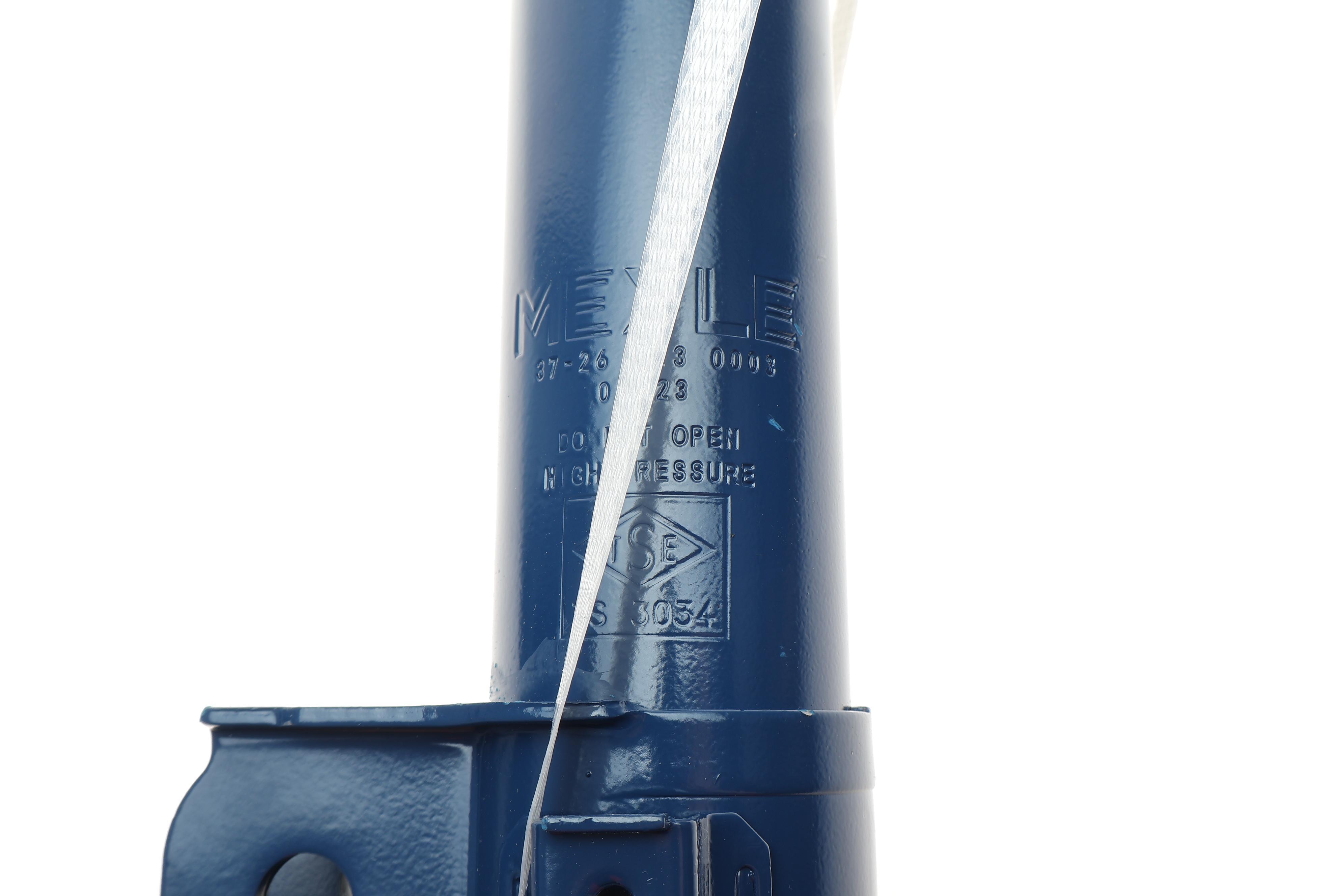 Амортизатор (задній) Hyundai Tucson/Kia Sportage 04- (L)