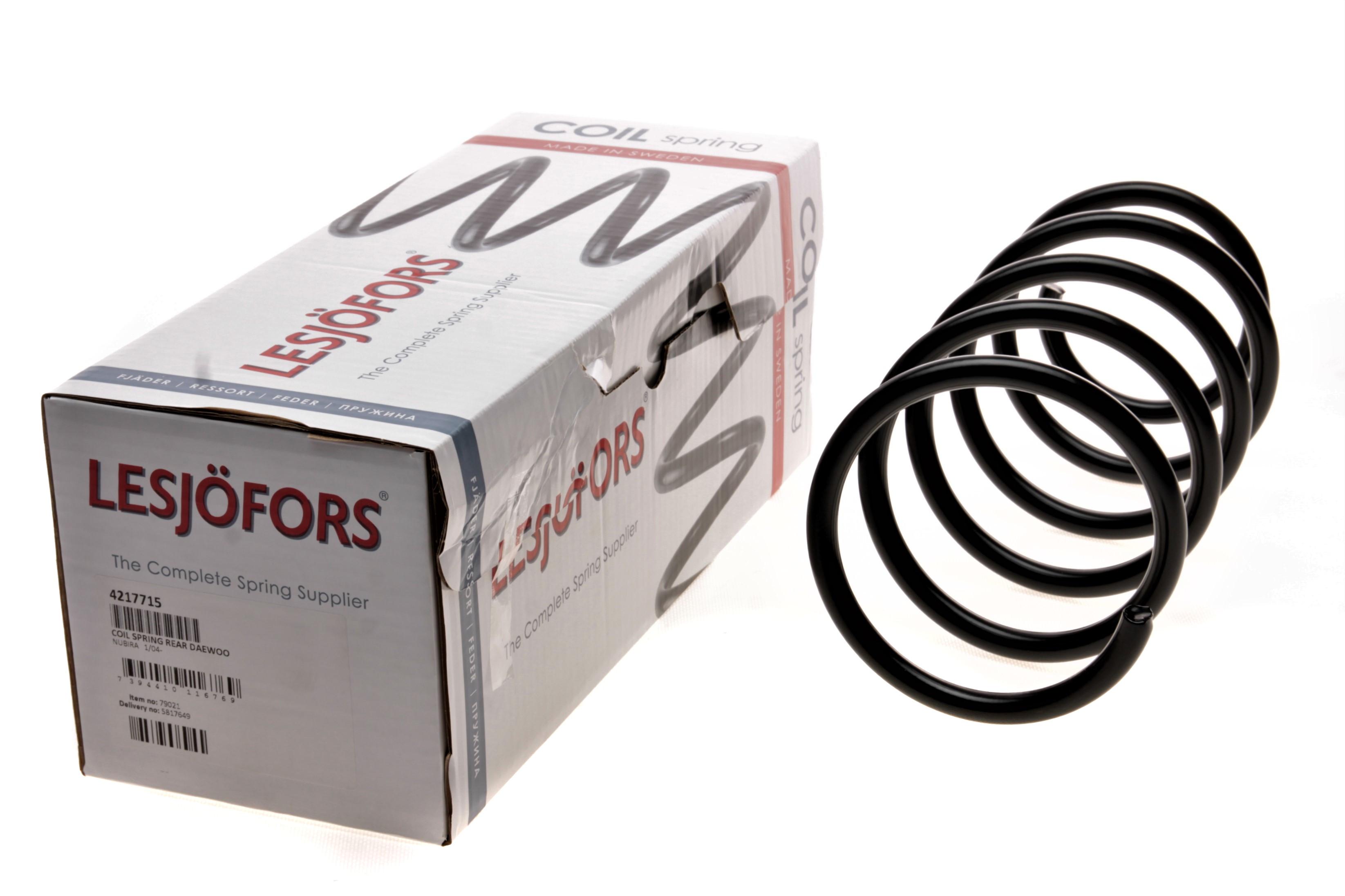 Пружина (задня) Daewoo Nubira 1.6/1.8 03-04 (седан)