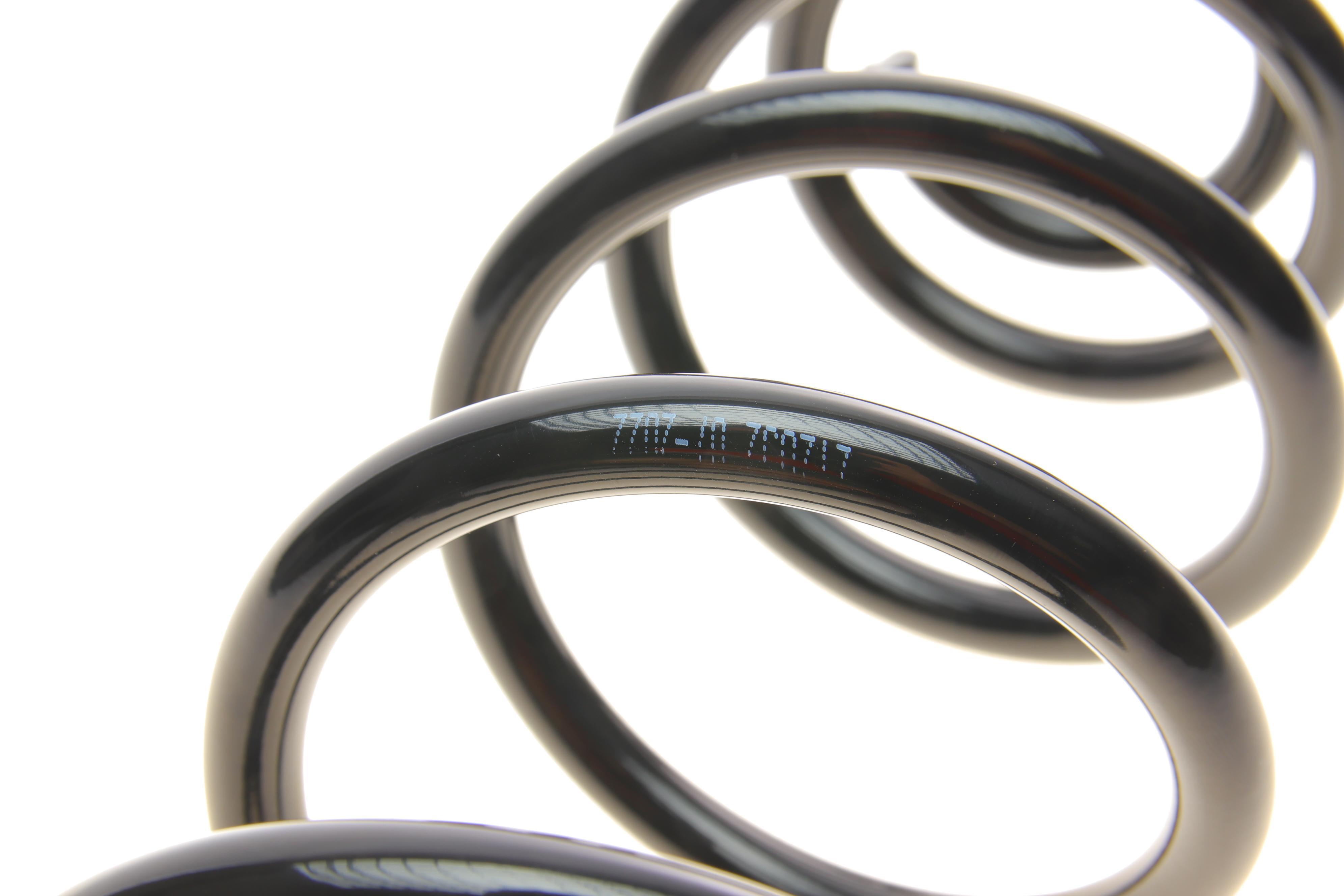 Пружина (задня) VW Golf V/VI 1.2-1.4TSI/1.4-2.0FSI/1.9-2.0TDI 03-13/Skoda Rapid 12-19 (нахилен.з.ч.)