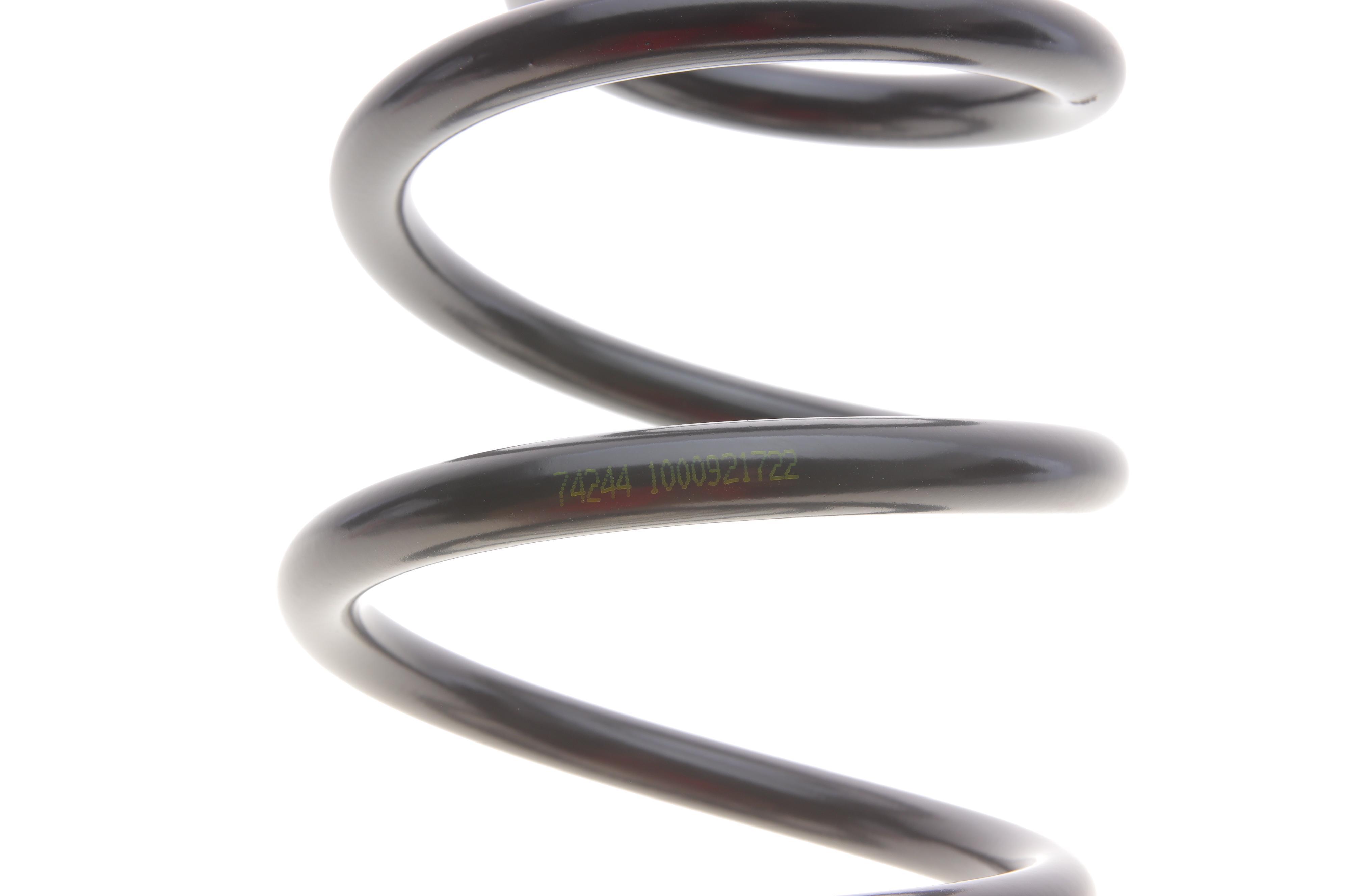 Пружина (задня) Skoda Octavia I 1.4-2.0/1.9TDI/SDI/1.8T 96-10/Rapid 1.4TSI/1.6TDI 12-15 (накл.з.ч)