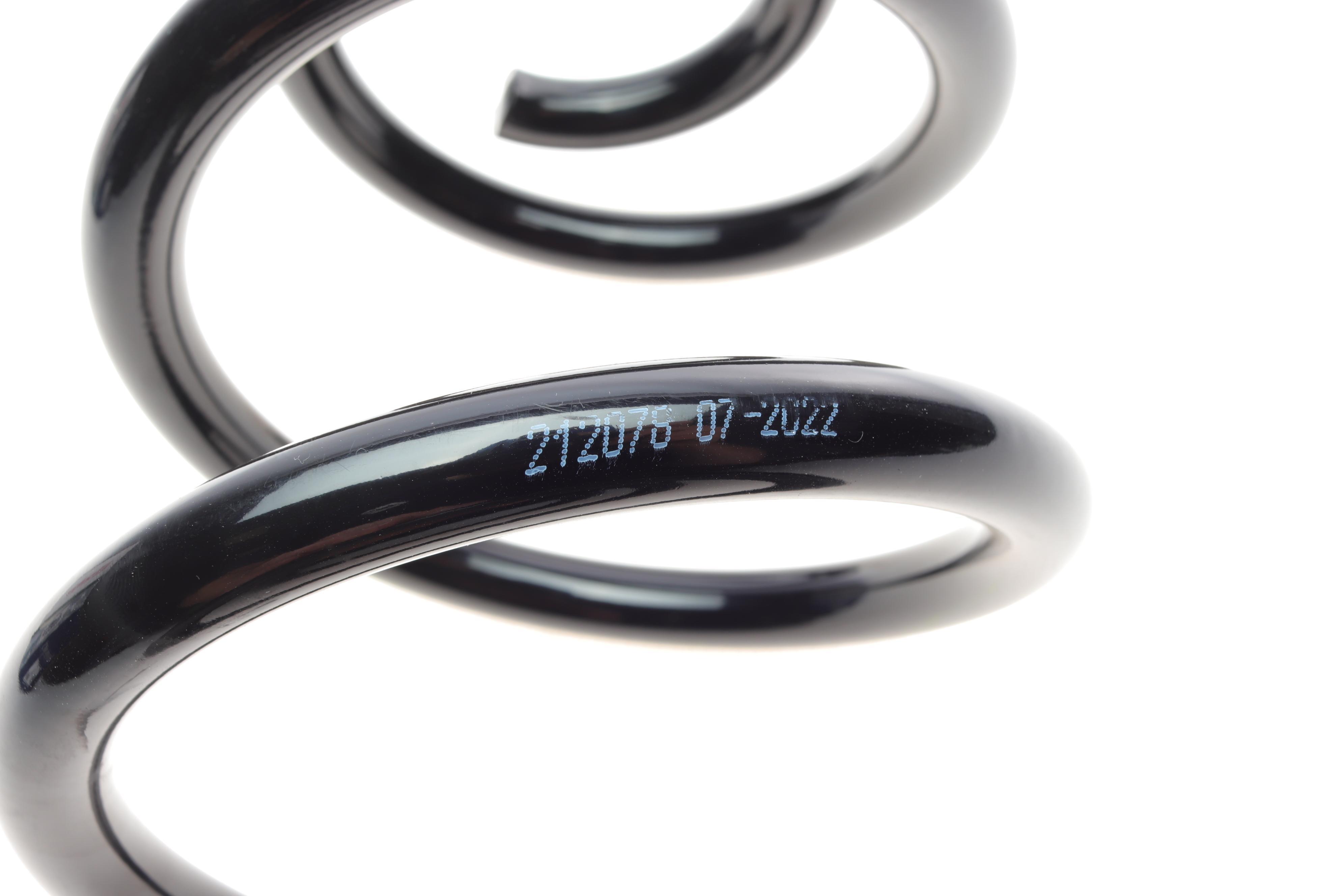 Пружина (задня) Dacia Logan MCV/Express 1.4//1.5dCi/1.6/16V/BiFuel/MPI 07- (фургон/універсал)