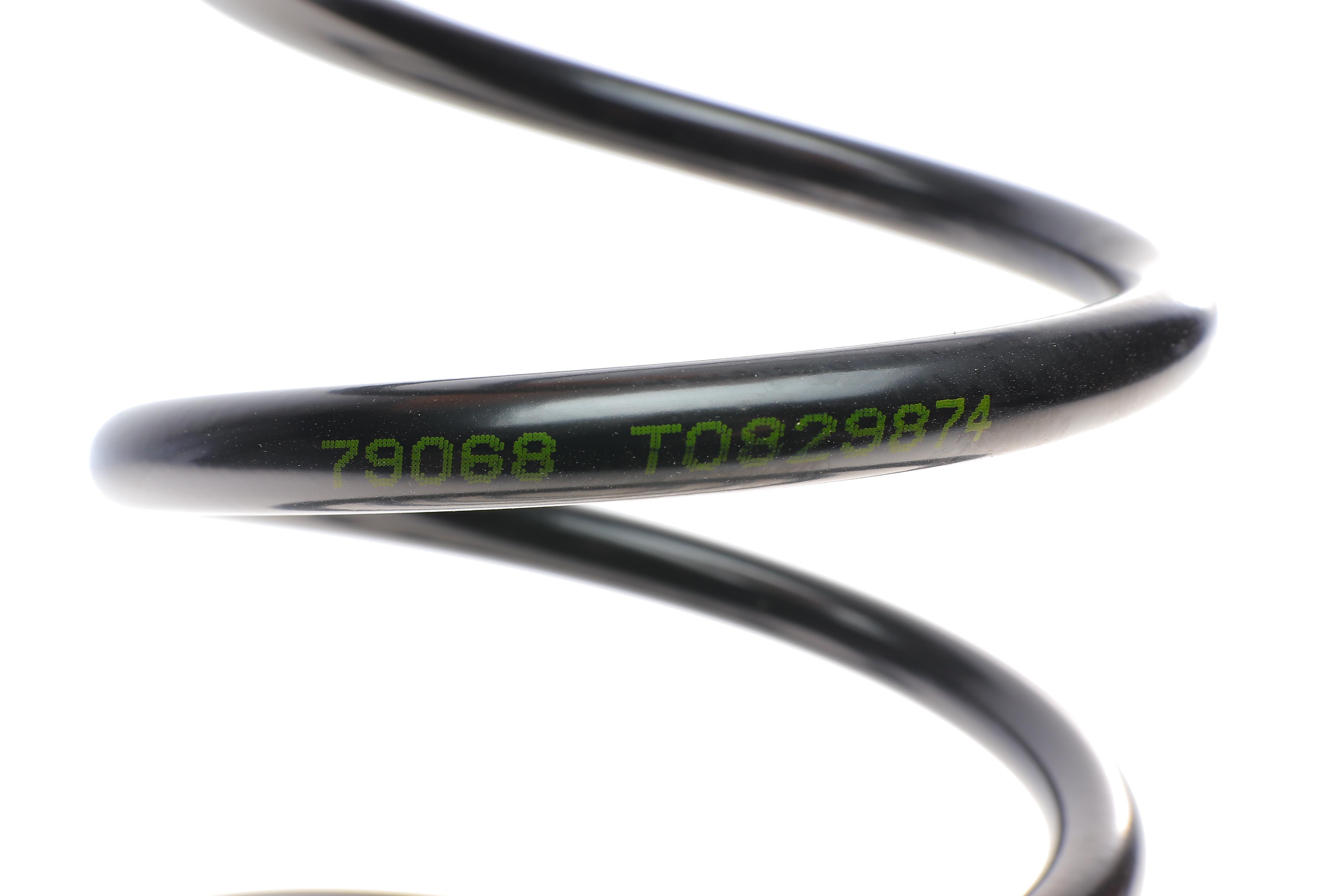 Пружина (задня) Citroen C4 1.6-2.0/16V/HDi/VTi/THP 06-13/Berlingo 1.6/HDi 08- (вен) (з панор.дах)