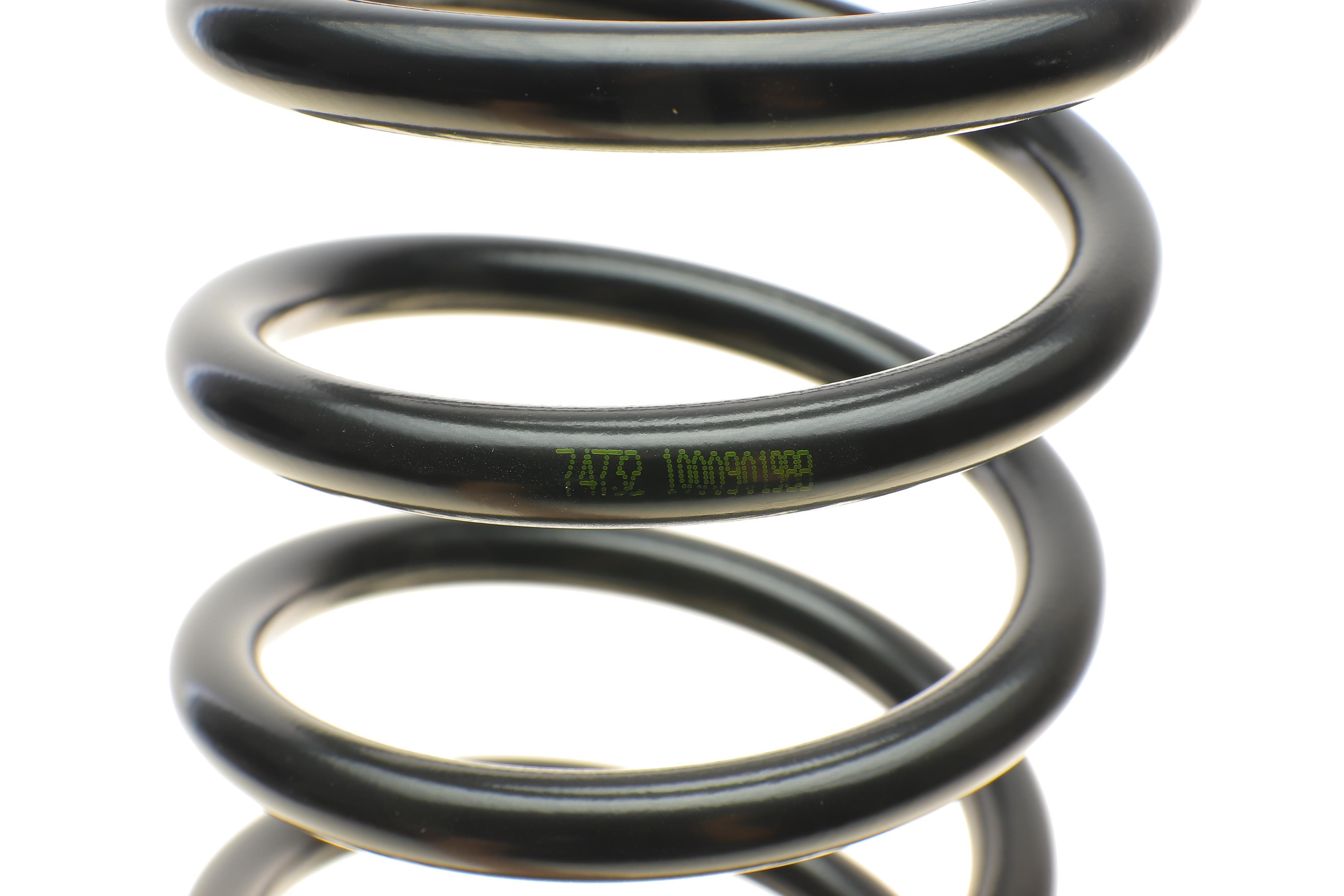 Пружина (задня) Lada 2110/2112 1.5 95-10/Priora 08-18 (седан/накл.зад.частина)