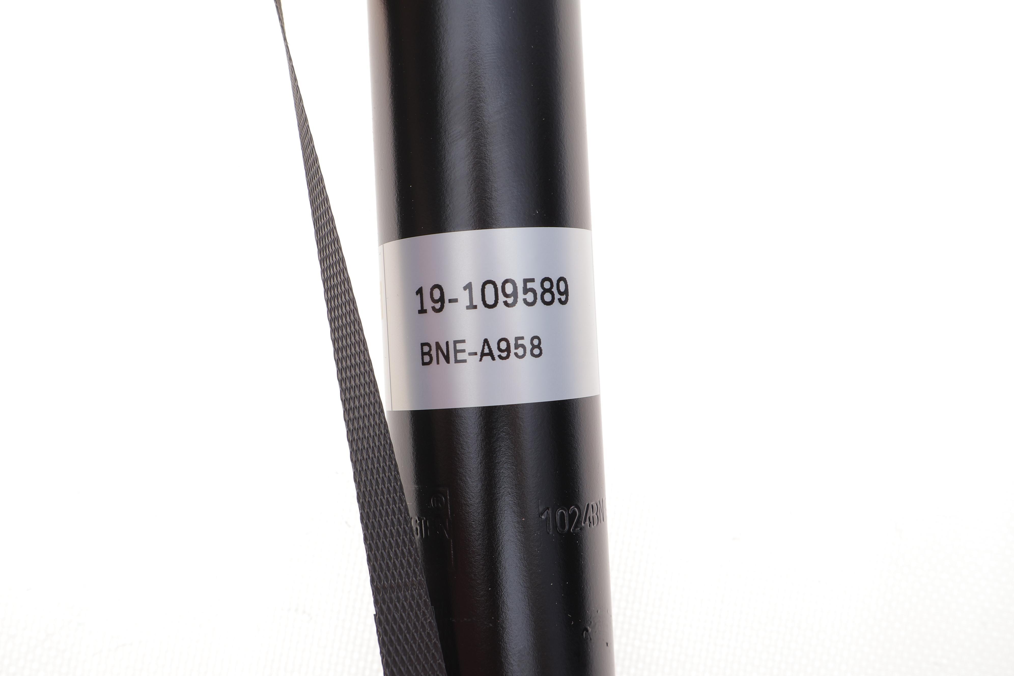 Амортизатор (задній) Skoda Fabia 99-07 (B4)