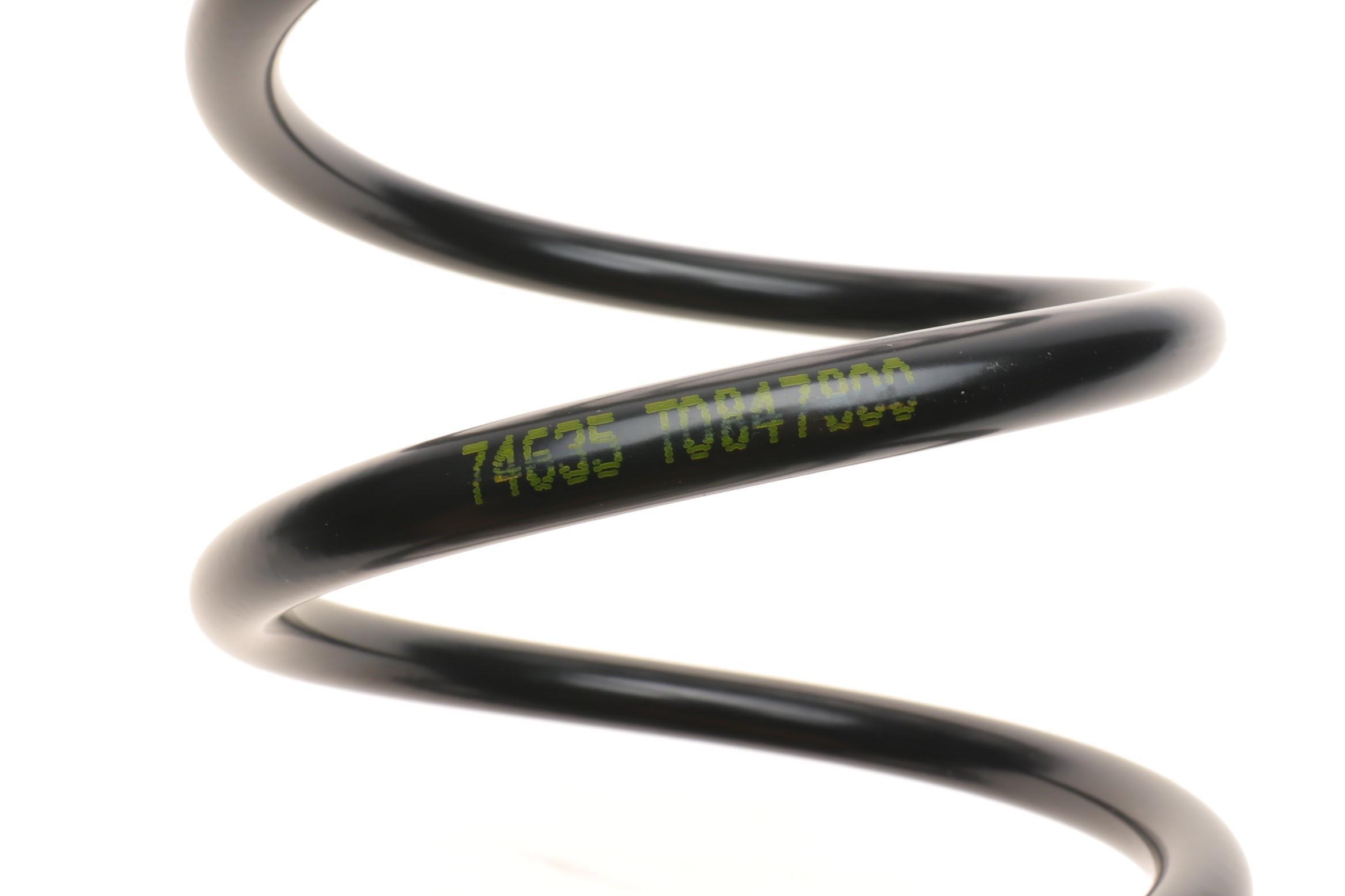 Пружина (задня) Ford Fiesta V 1.25 16V/1.3/1.4-1.6 16V/TDCi 01-08 (накл.зад.ч/фургон/хетчбек)