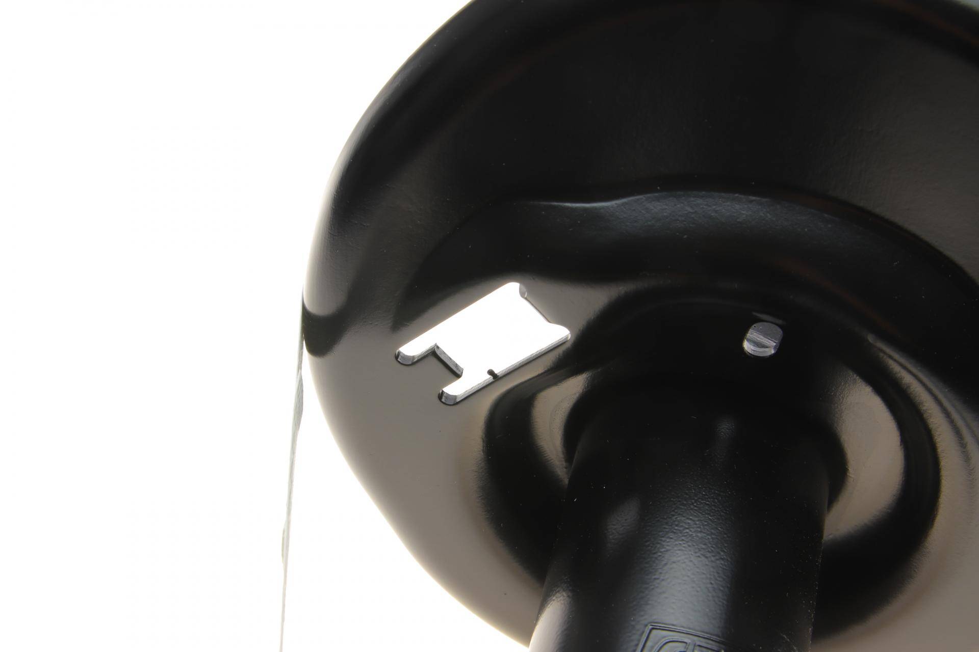 Амортизатор (передній) Citroen C4 II 09- (L)