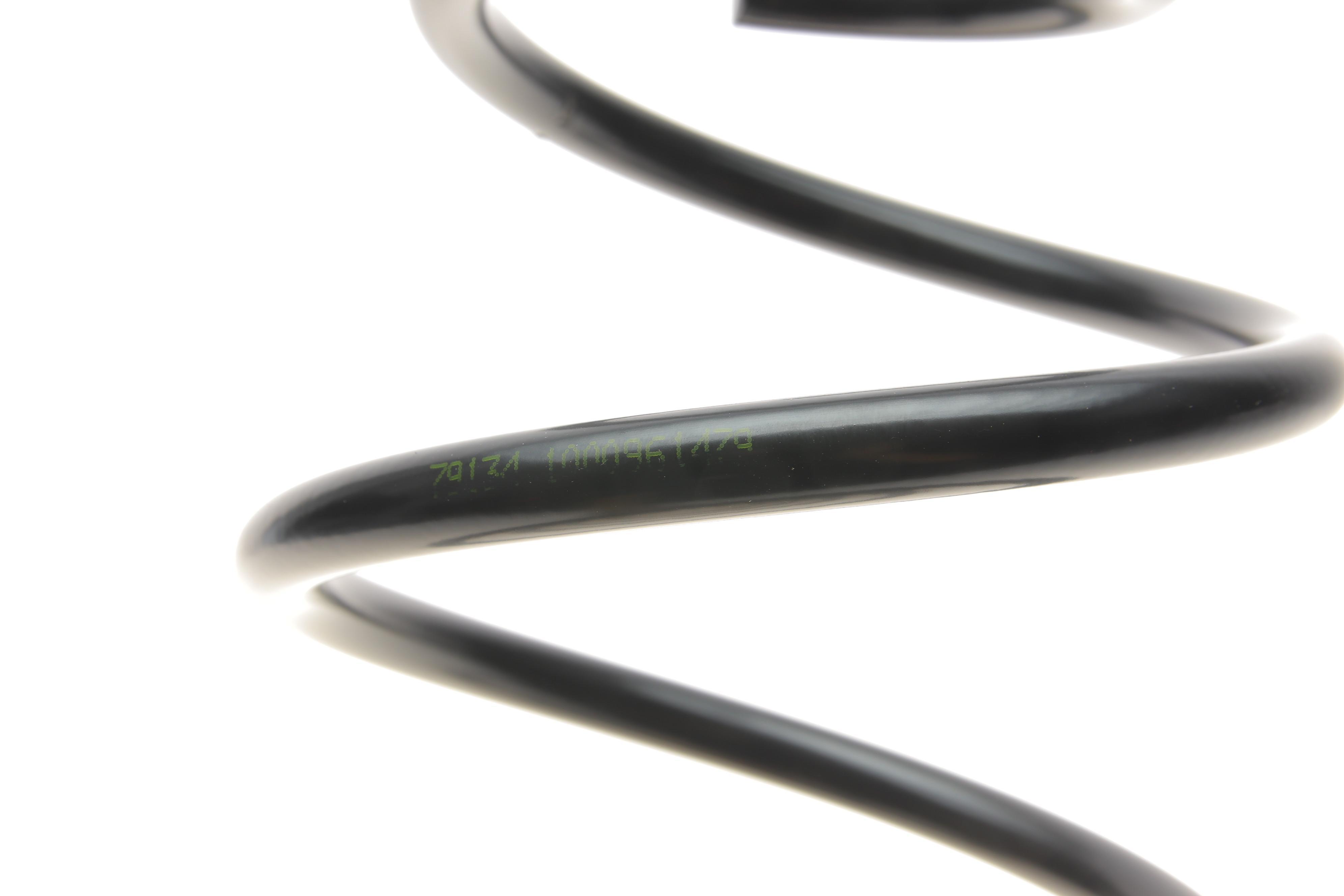 Пружина (задня) Renault Laguna III Grandtour 1.5dCi/2.0dCi/1.6 16V/2.0 16V 07-15 (універсал)