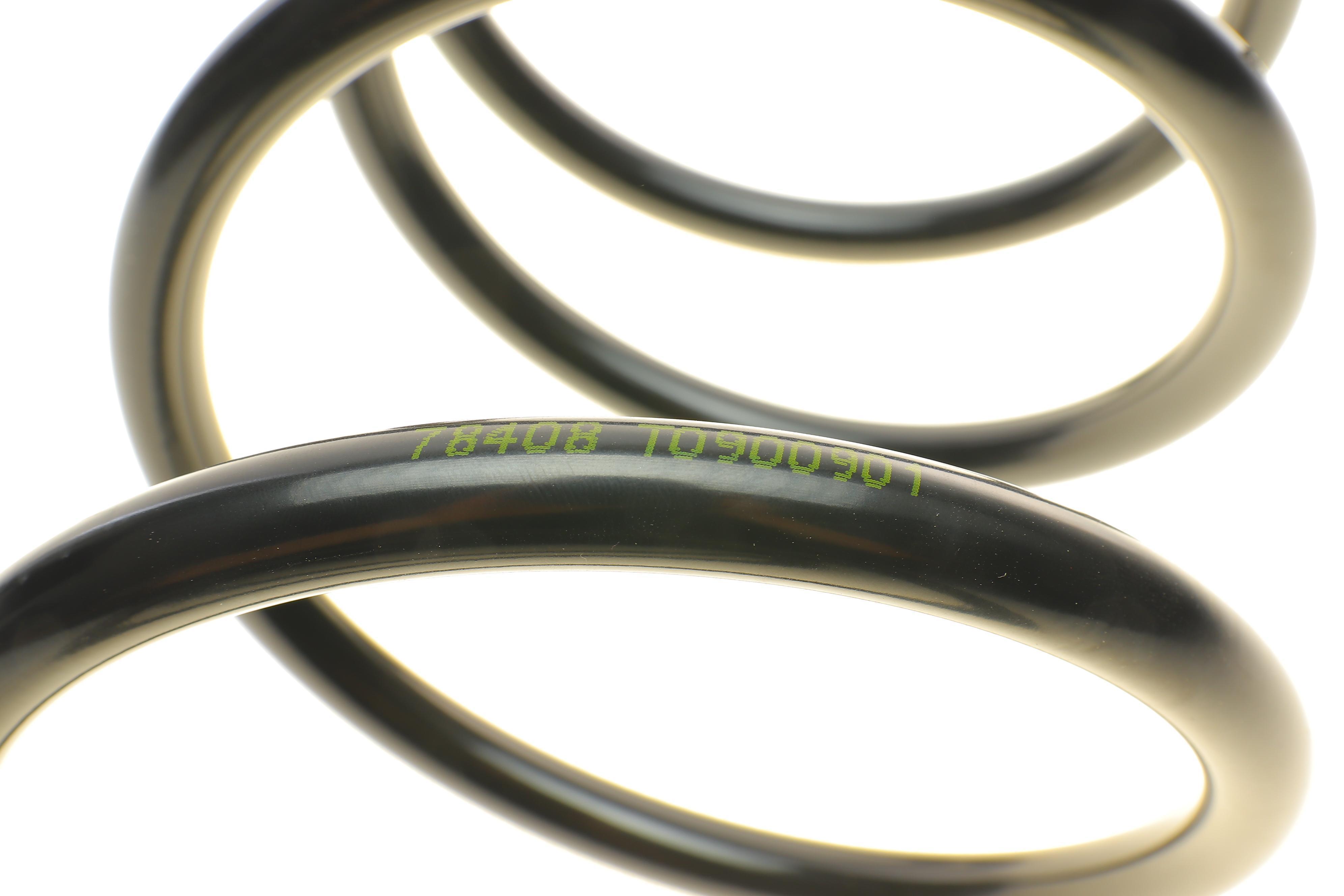 Пружина (задня) Hyundai Terracan 2.9CRDi/3.5i V6 4WD 01-06 (SUV)