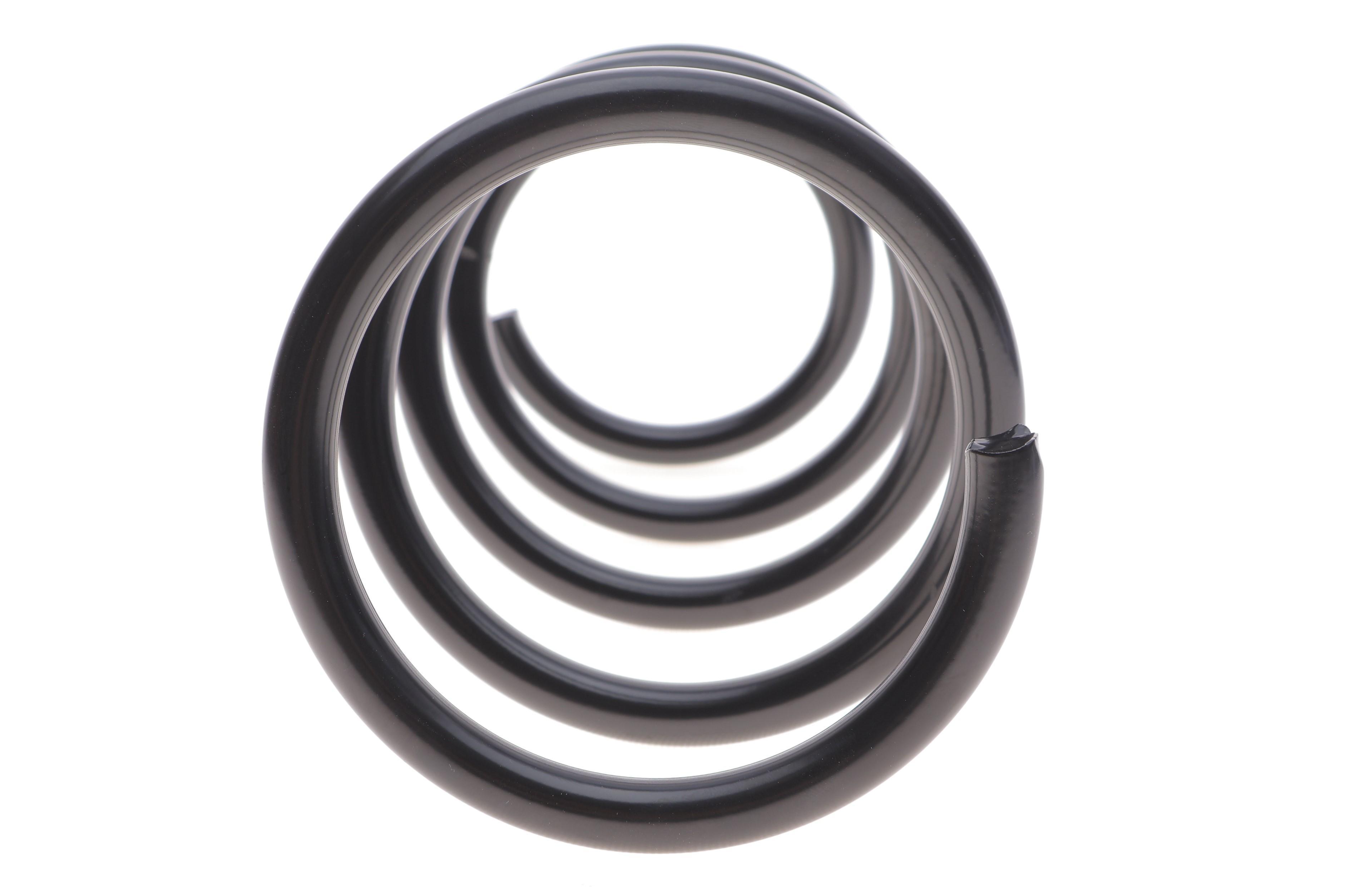 Пружина (передня) Renault Kangoo 1.6 16V 4x4/1.9dCi 4x4 01- (вен/фургон)