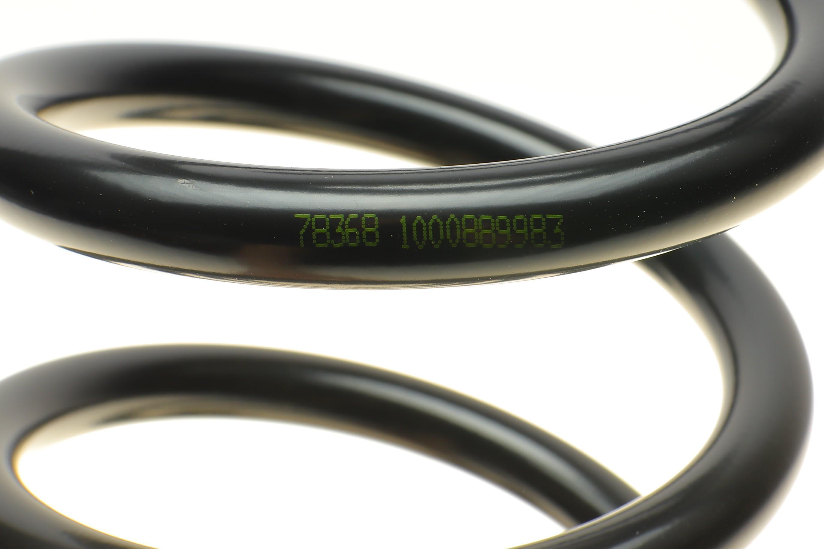 Пружина (задня) Ford S-Max 1.6EcoBoost/1.6-2.2TDCi 06-14 (вен) (без с-ми регул.дорож.просв.)