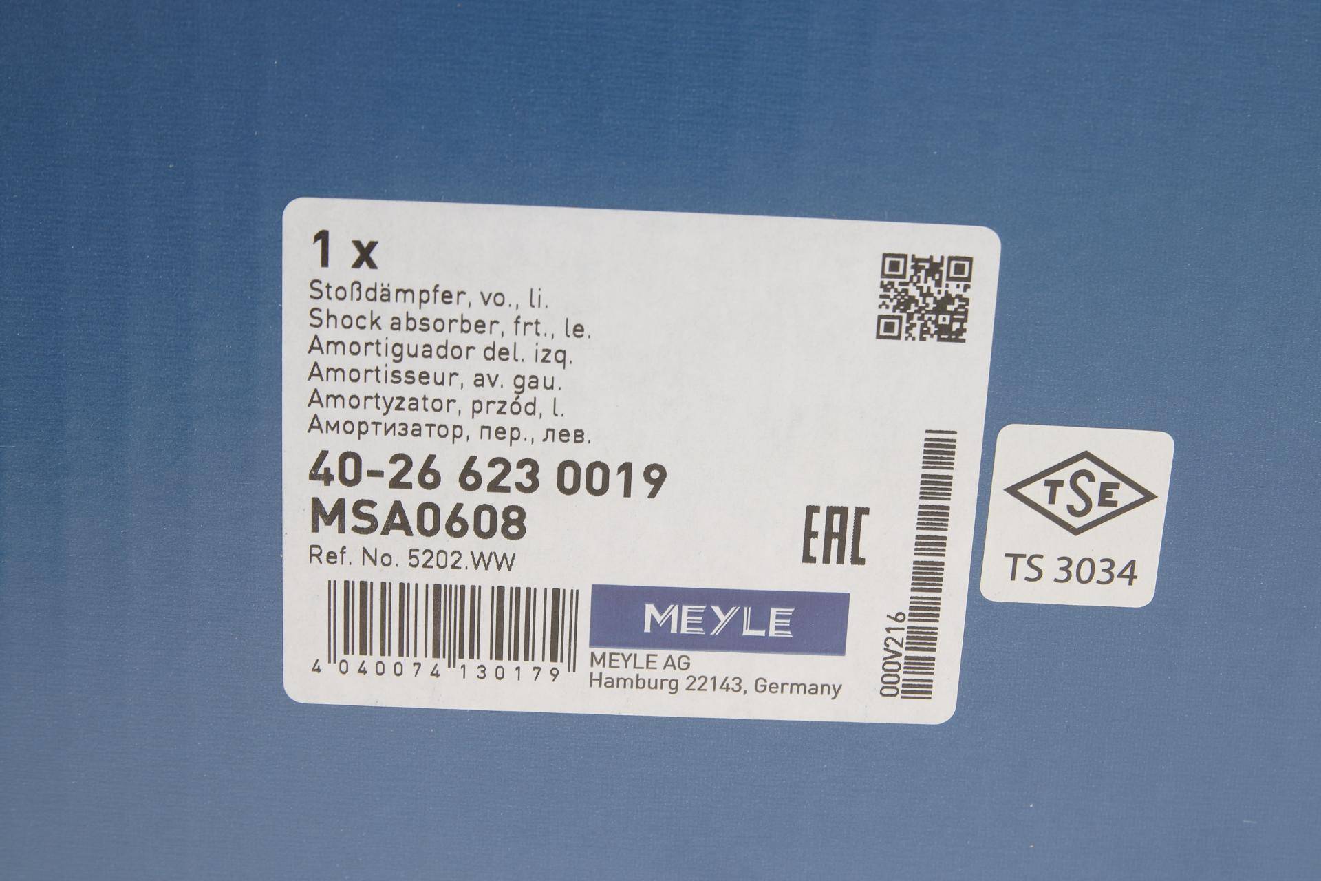 Амортизатор (передній) Citroen Jumpy/Fiat Scudo/Peugeot Expert 07- (L)