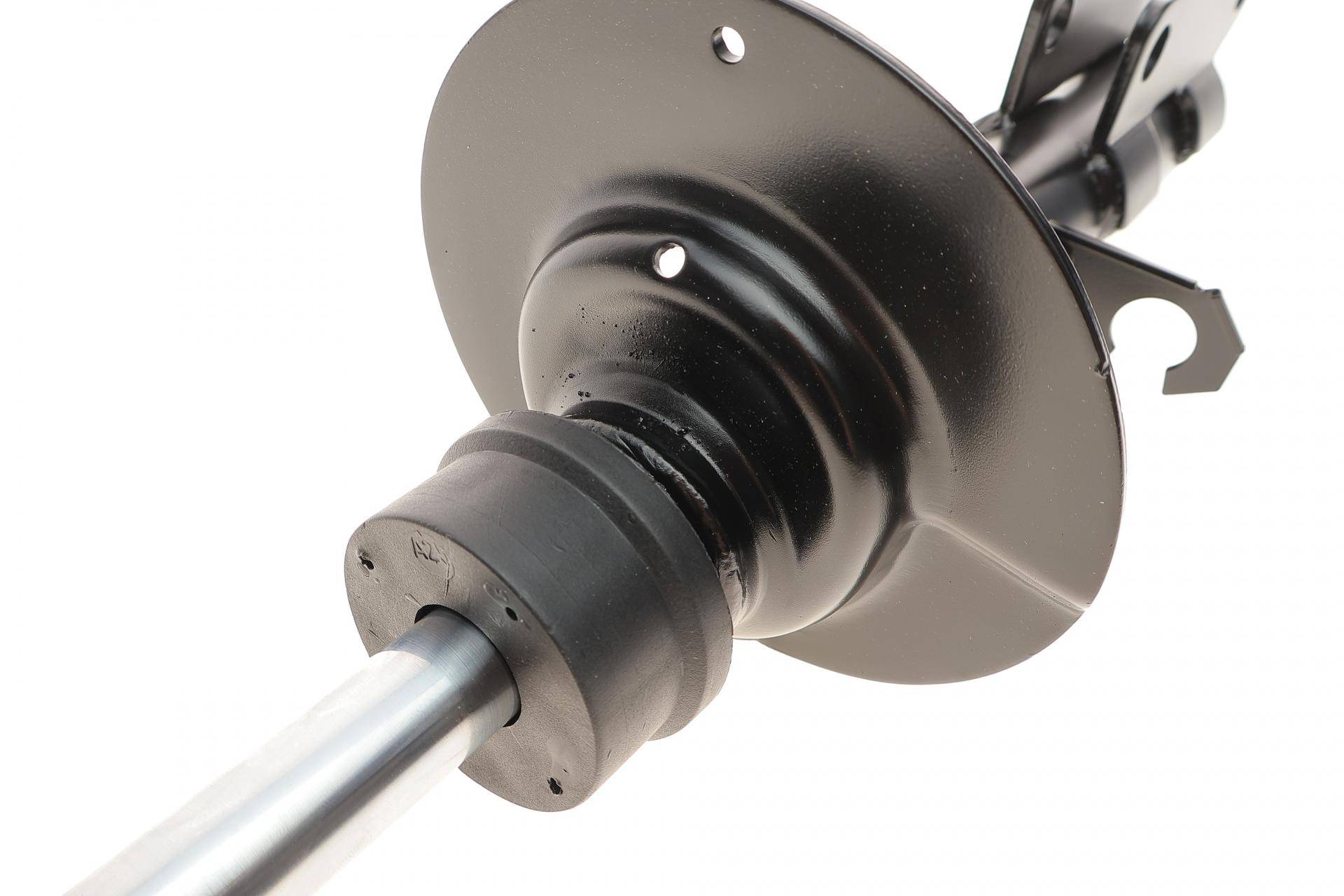 Амортизатор (передній) BMW X5 (E53) 00- (R) (B4)