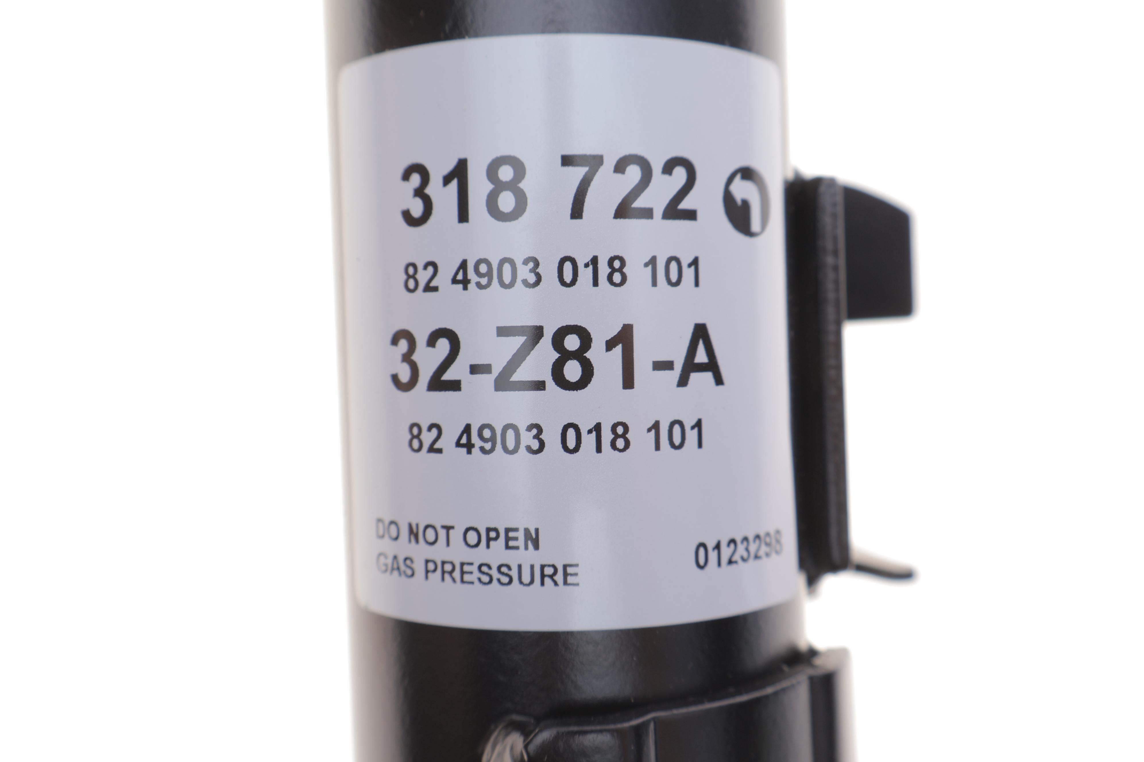 Амортизатор (передній) Ford Focus III 1.0-2.0 12- (L)