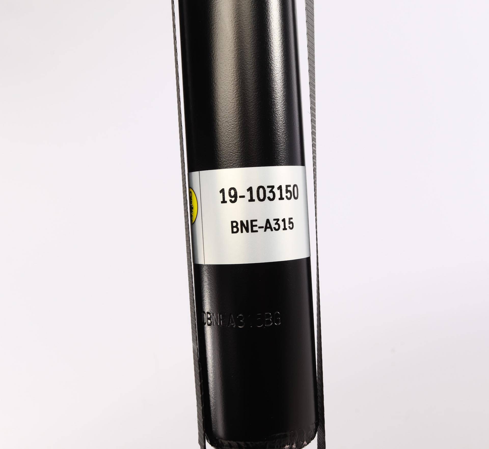 Амортизатор (задній) BMW 3 (E36/E46) 96-05 (B4)