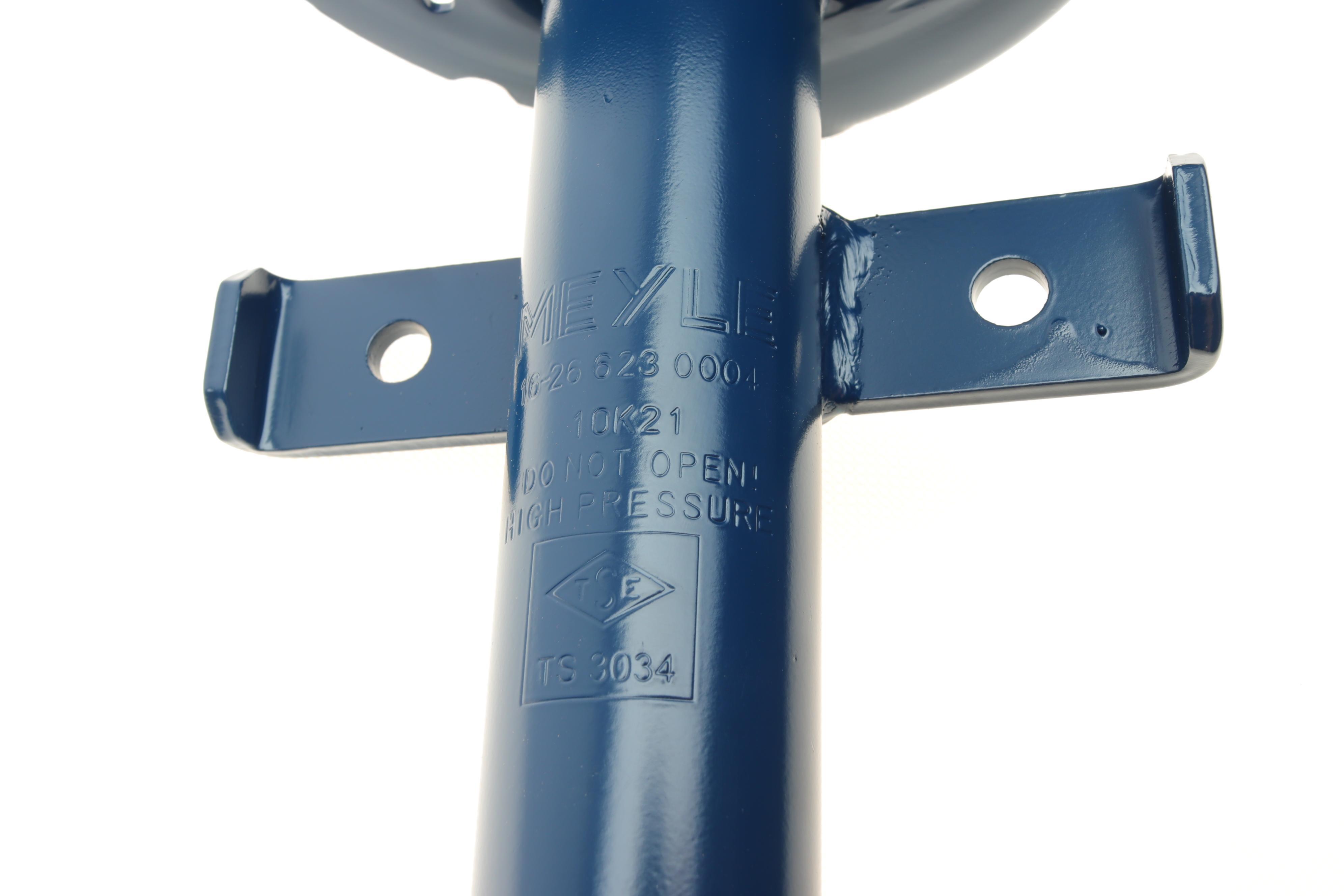 Амортизатор (передній) Renault Clio III 05- (ГАЗ)