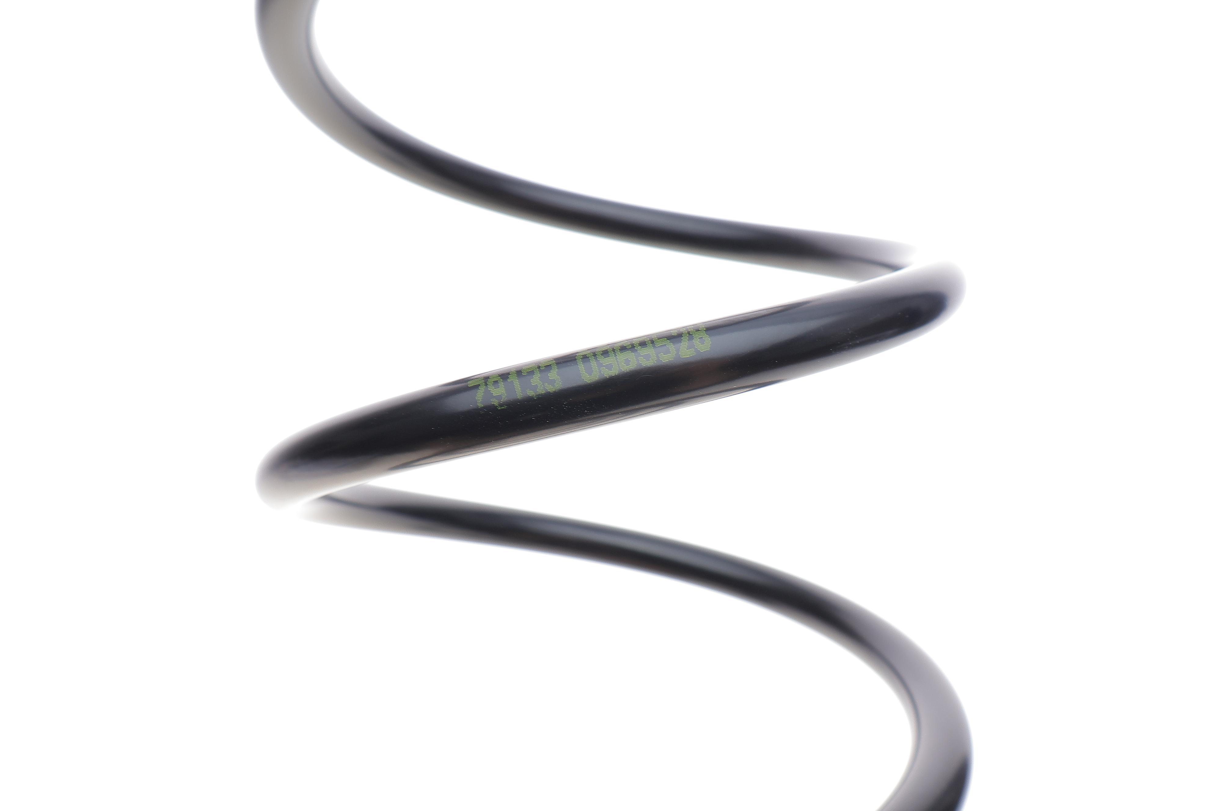 Пружина (задня) Renault Laguna III 1.5dCi/2.0dCi/1.6 16V/2.0 16V 07-15 (нах.зад.частина)