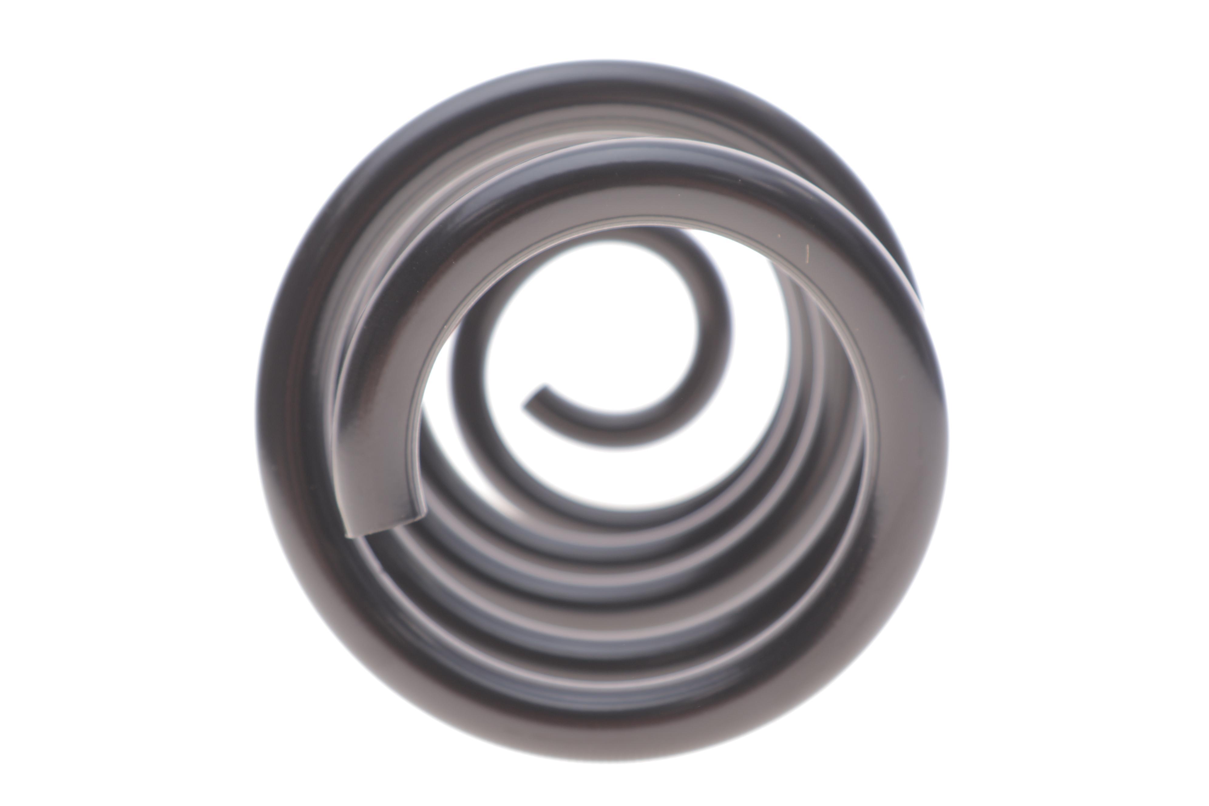 Пружина (задня) Renault Zoe 12- (накл.зад.частина)