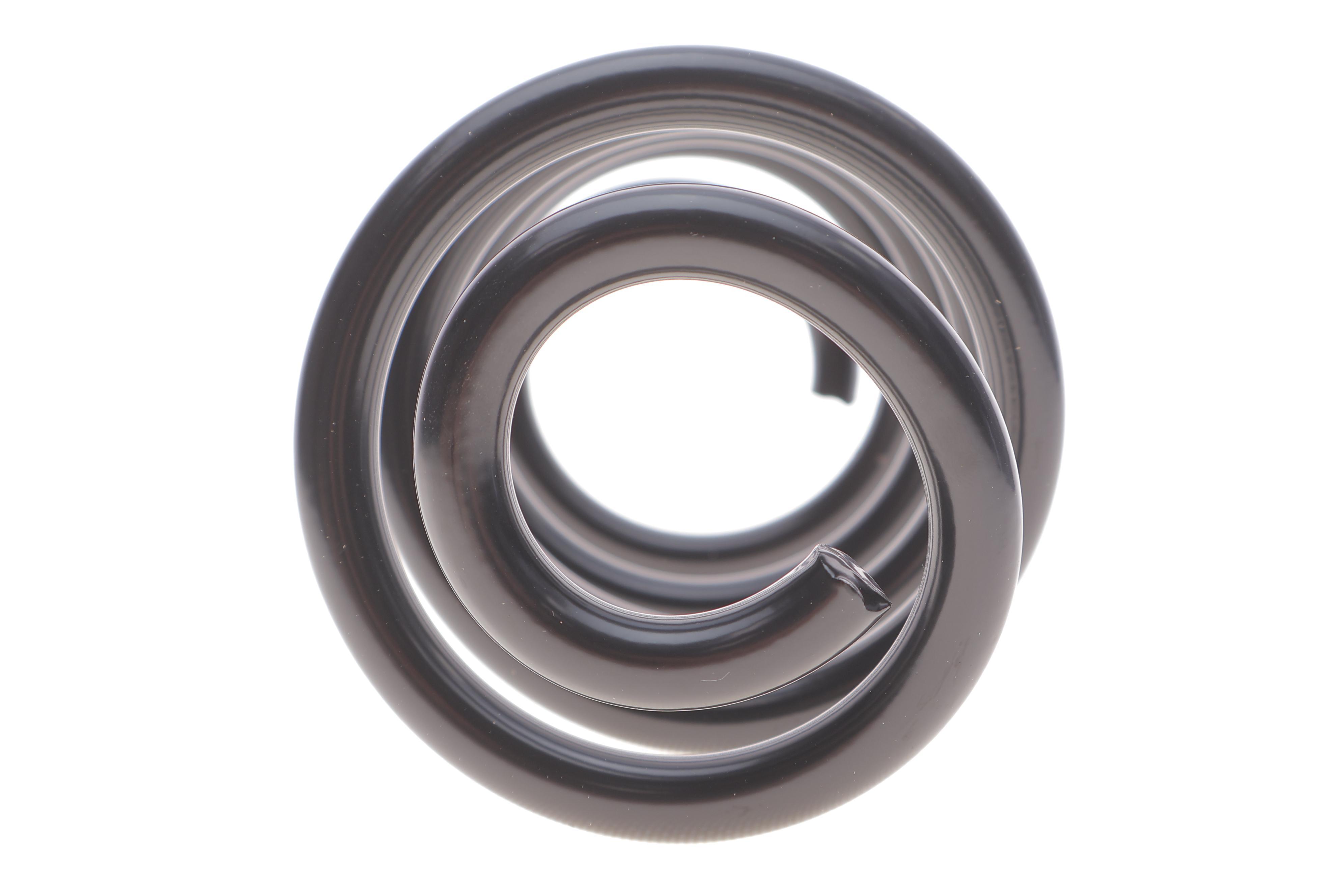 Пружина (задня) Renault Zoe 12- (накл.зад.частина)