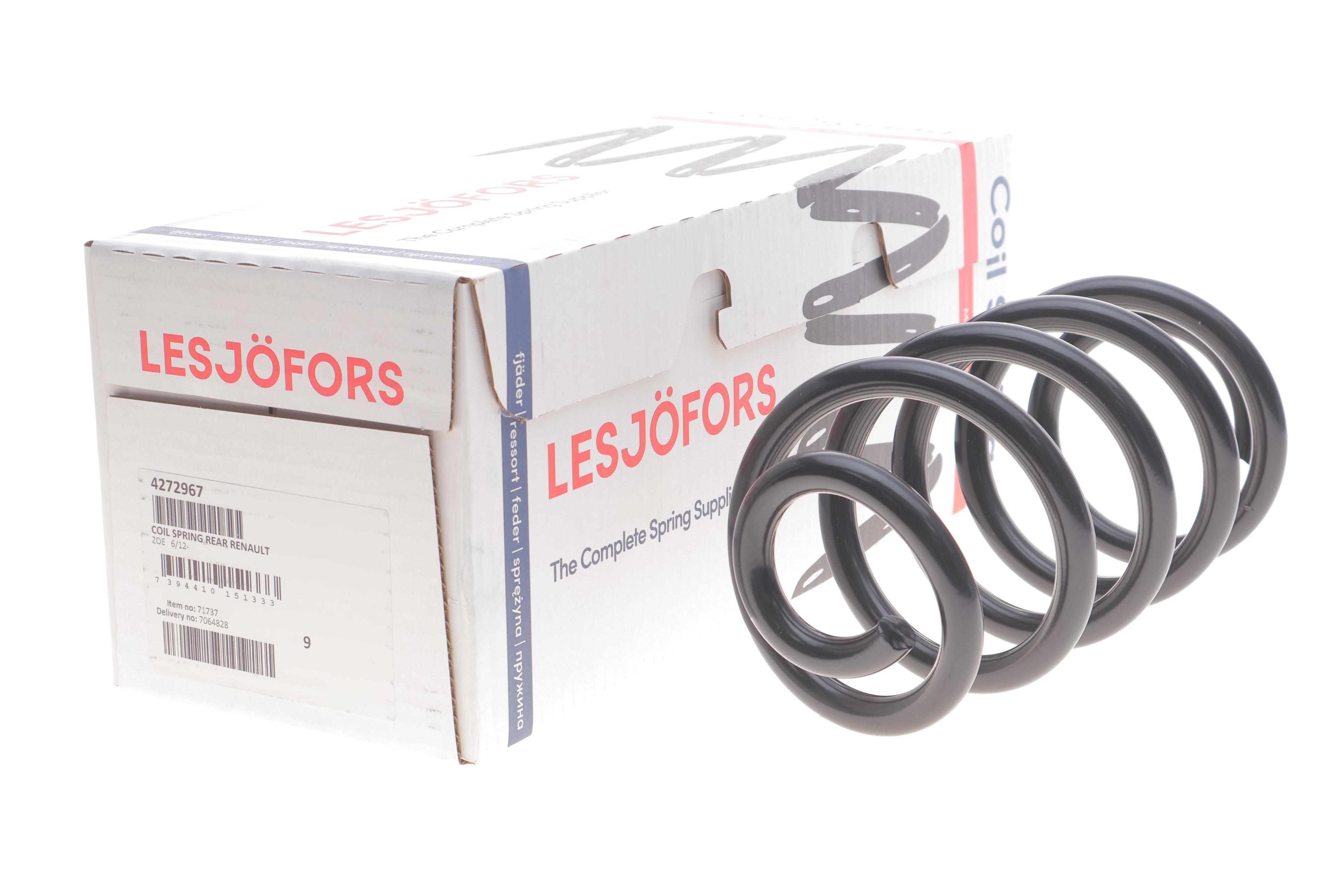 Пружина (задня) Renault Zoe 12- (накл.зад.частина)