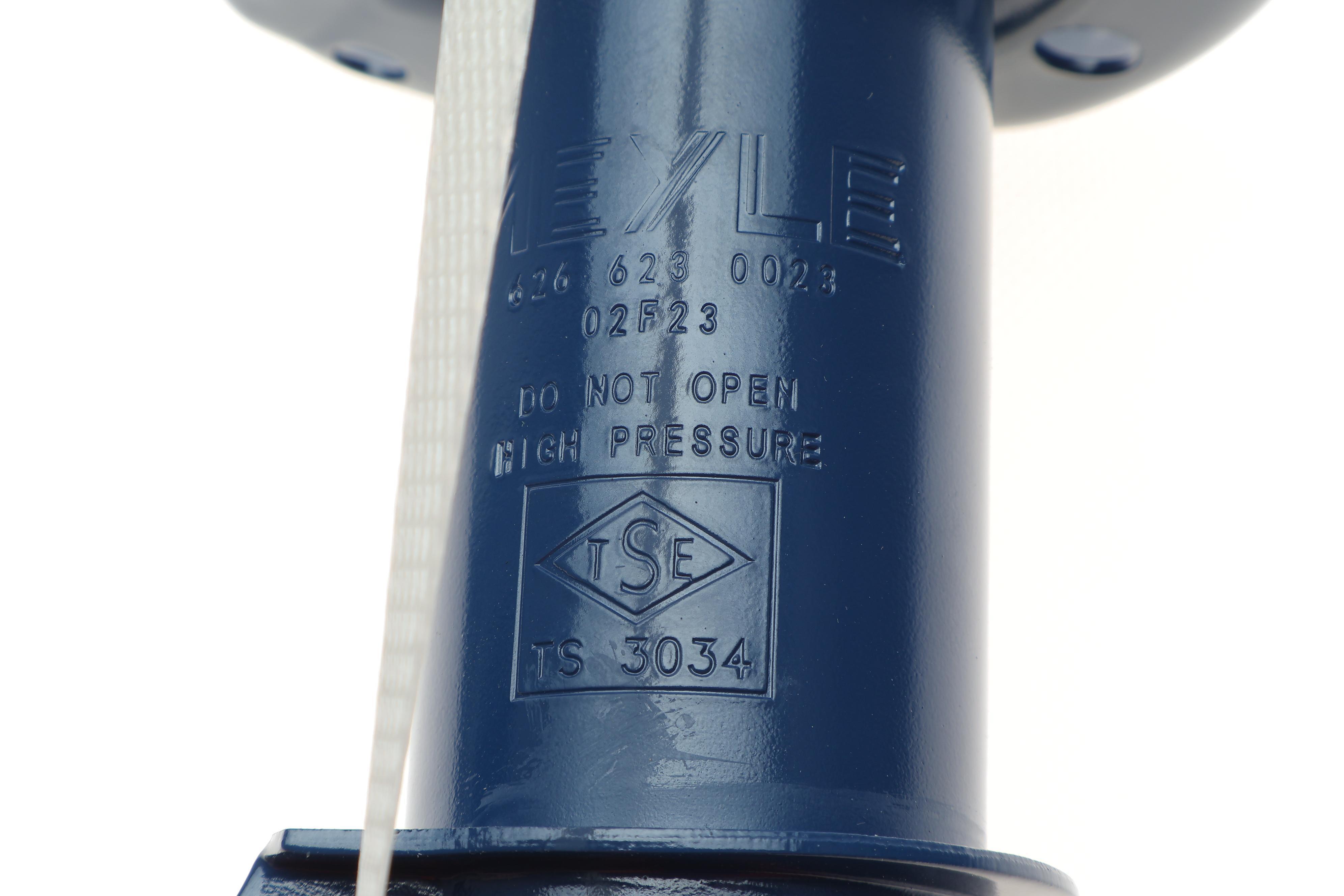 Амортизатор (передній) Opel Insignia 2.0 CDTI 08- (R)