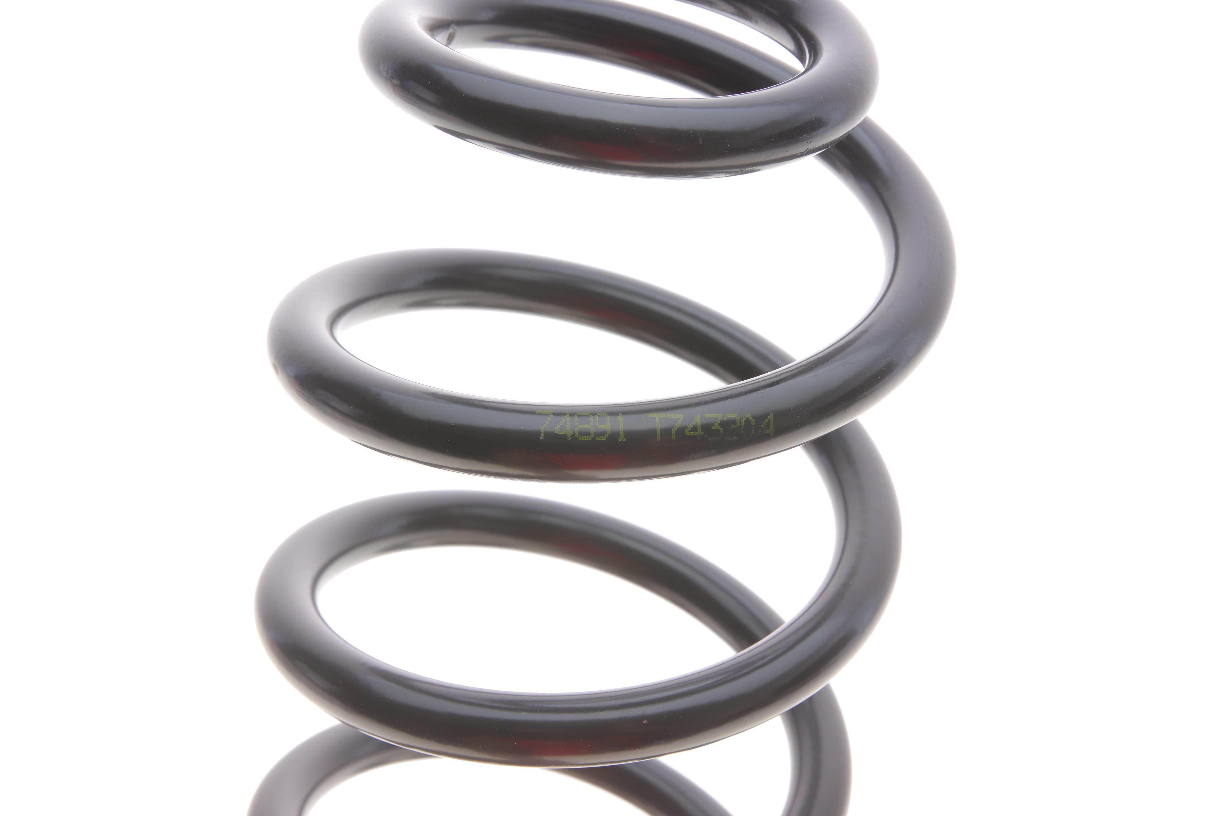 Пружина (задня) Renault Megane II 1.4-2.0/1.5dCi/1.9dCi/2.0dCi 02-08 (нах.зад.частина) (5 дверей)