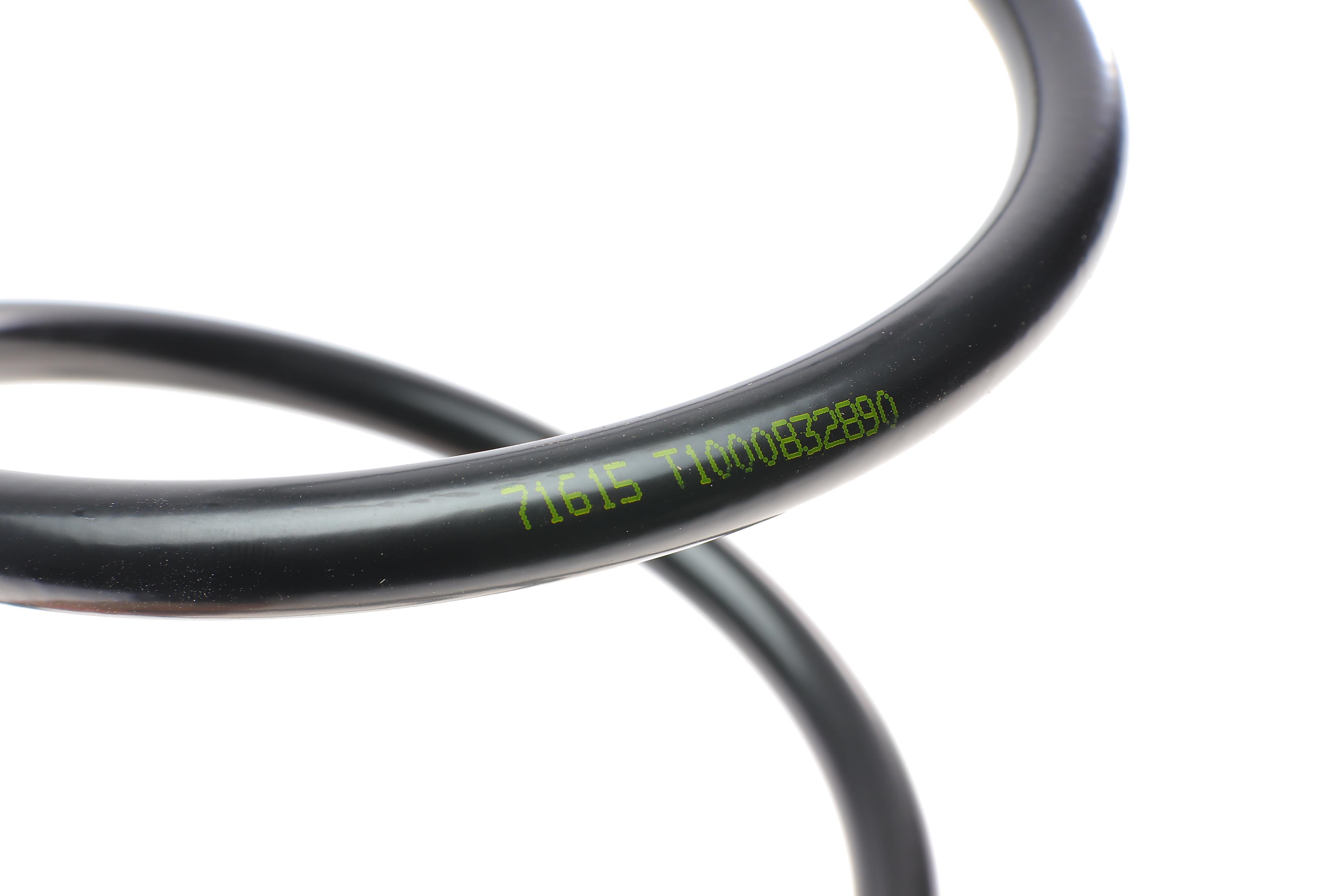 Пружина (задня) Dacia Lodgy 1.2TCe/1.5dCi/1.6/SCe 12- (вен)