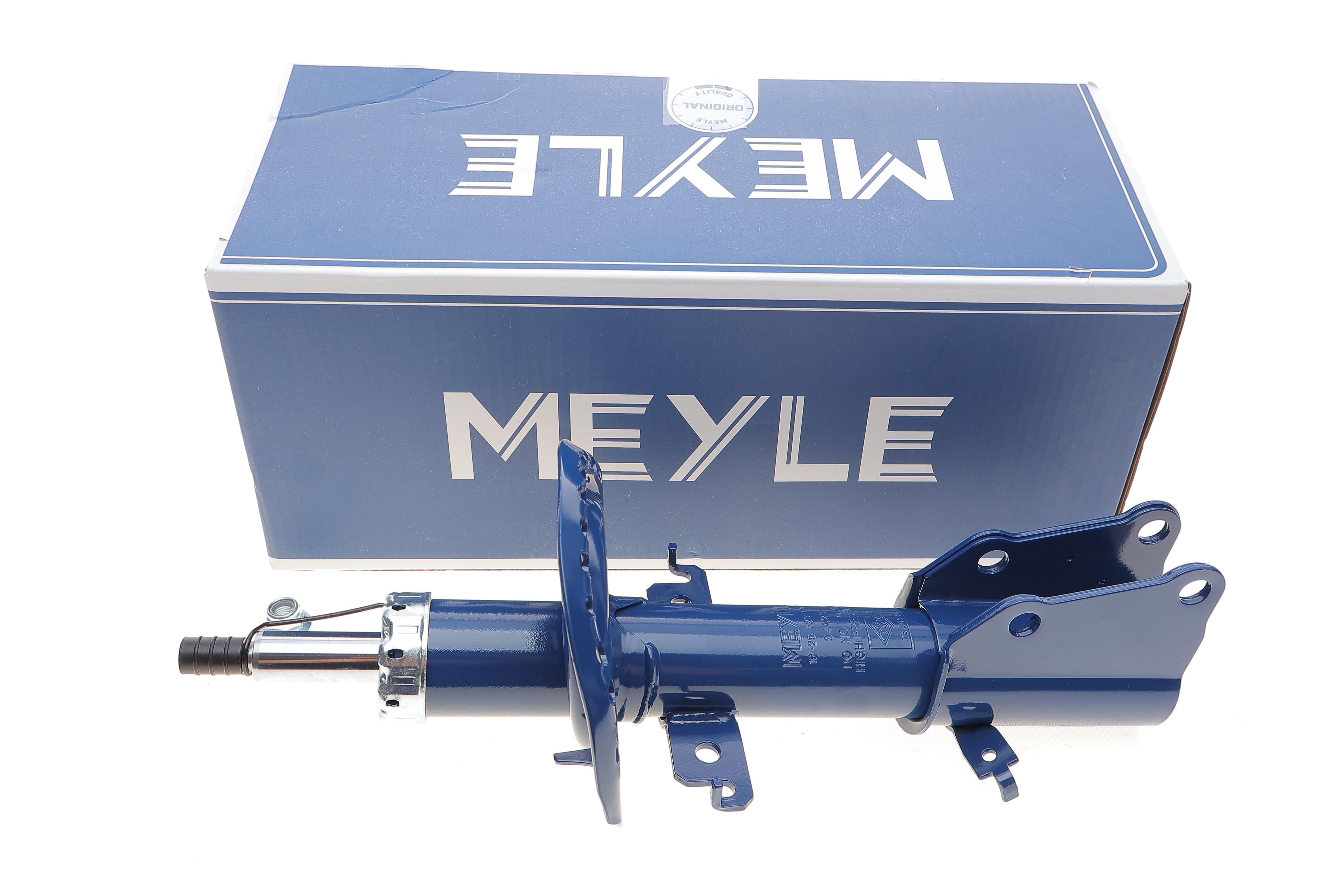 Амортизатор (передній) Renault Kangoo 08- R15/16 (maxi baza) (цапфа 36mm) (d22mm D51mm)