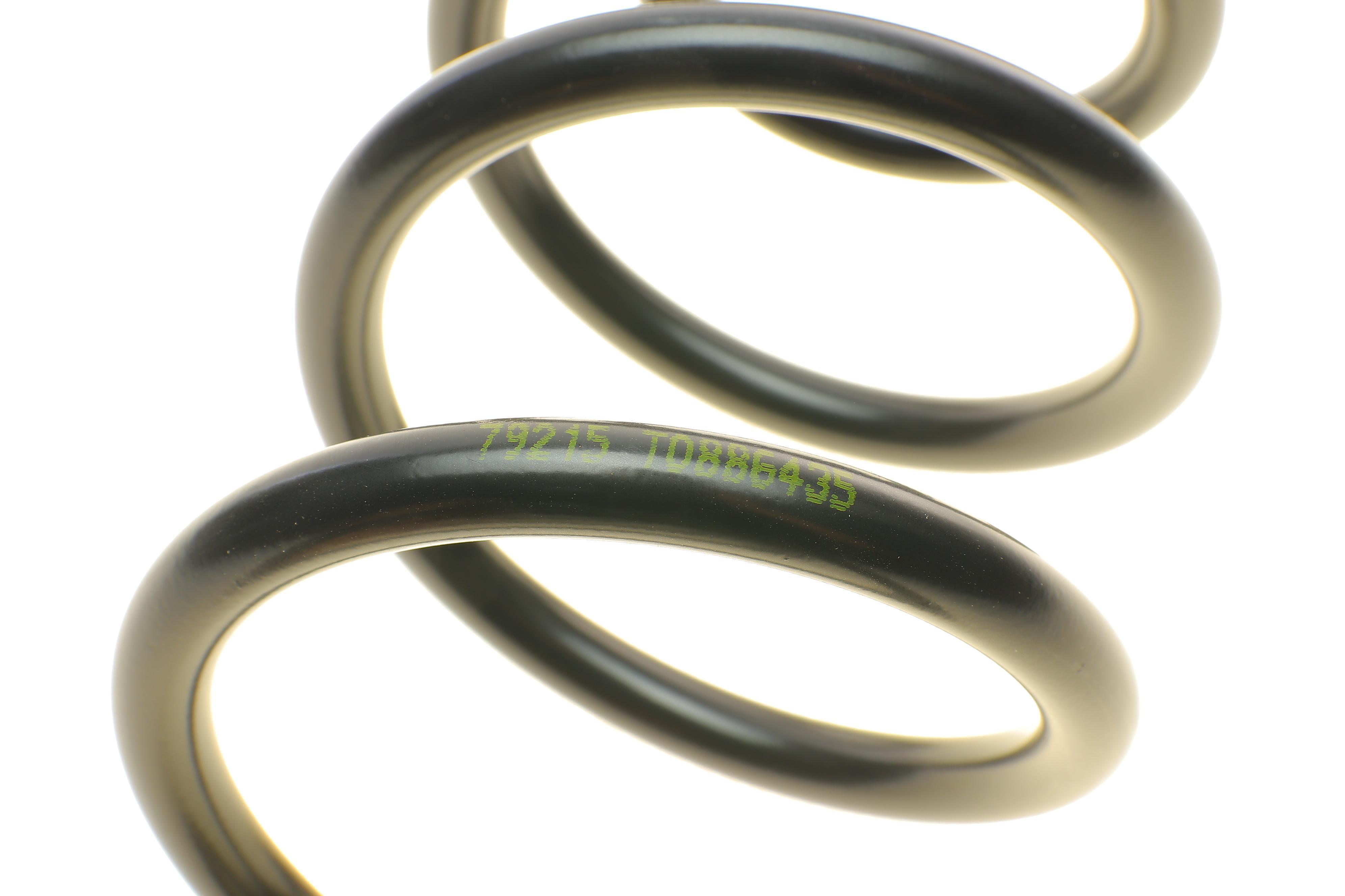 Пружина (задня) VW Passat CC 1.4TSI/1.8TSI/2.0TDI/TFSI 08-12 (купе)/Touran 1.9-2.0TDI 03-10 (вен)