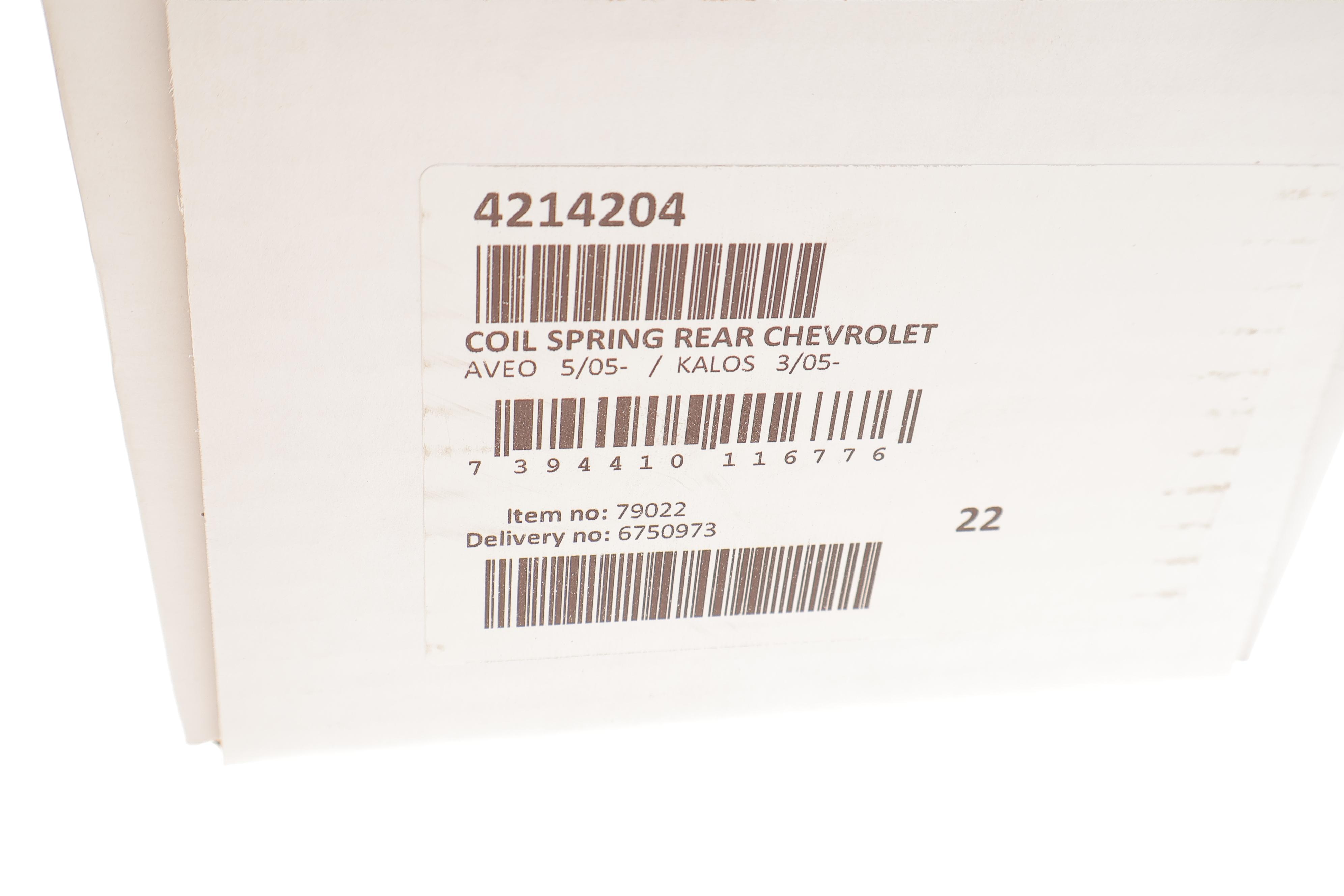 Пружина (задня) Chevrolet Aveo/Kalos 1.2/1.4/1.5 03- (седан/нах.зад.частина)