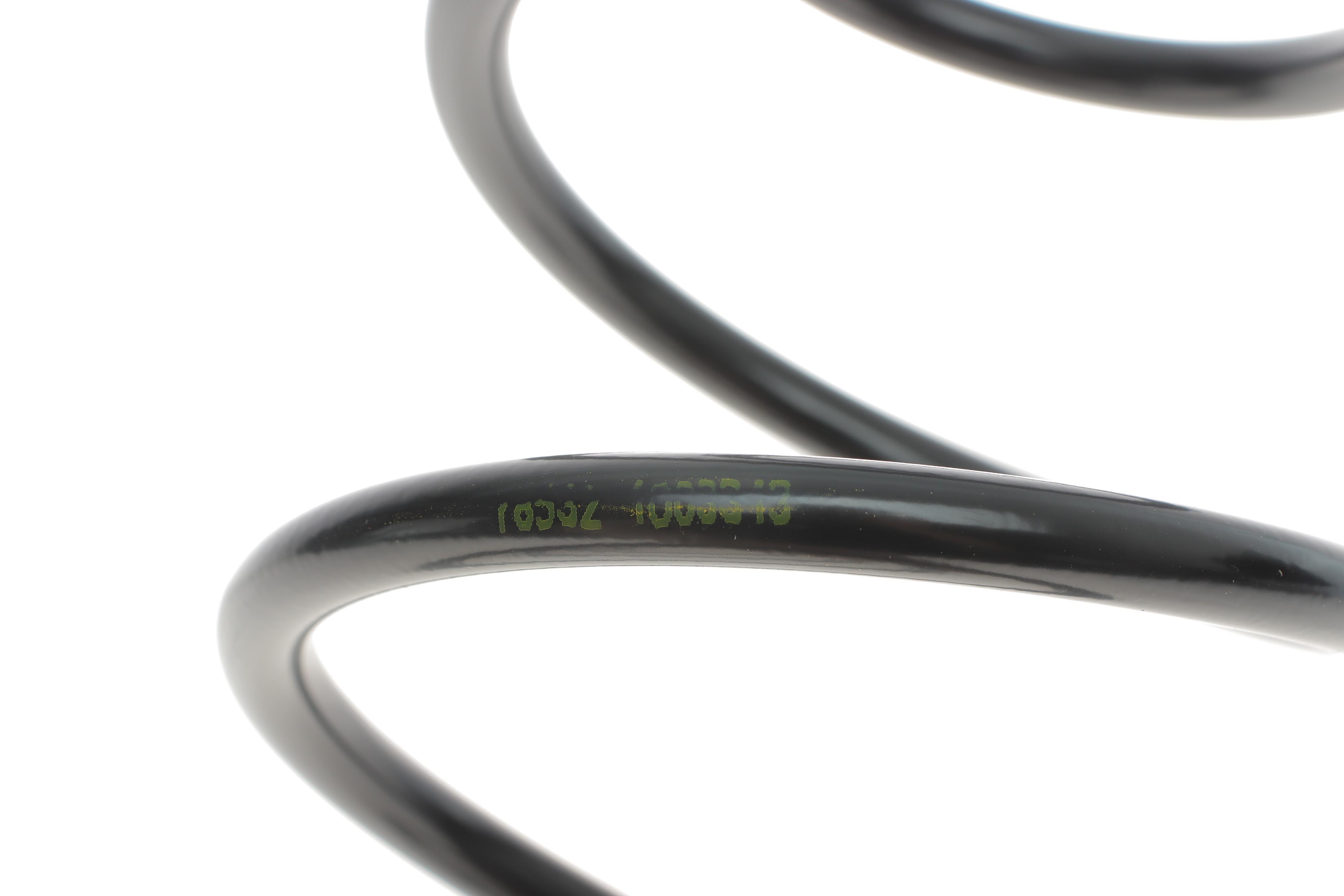 Пружина (задня) MB A-class (W169) A150/A160/A170/A180/A200/CDI 04-12 (накл.зад.ч.)(без спорт.ход.ч)