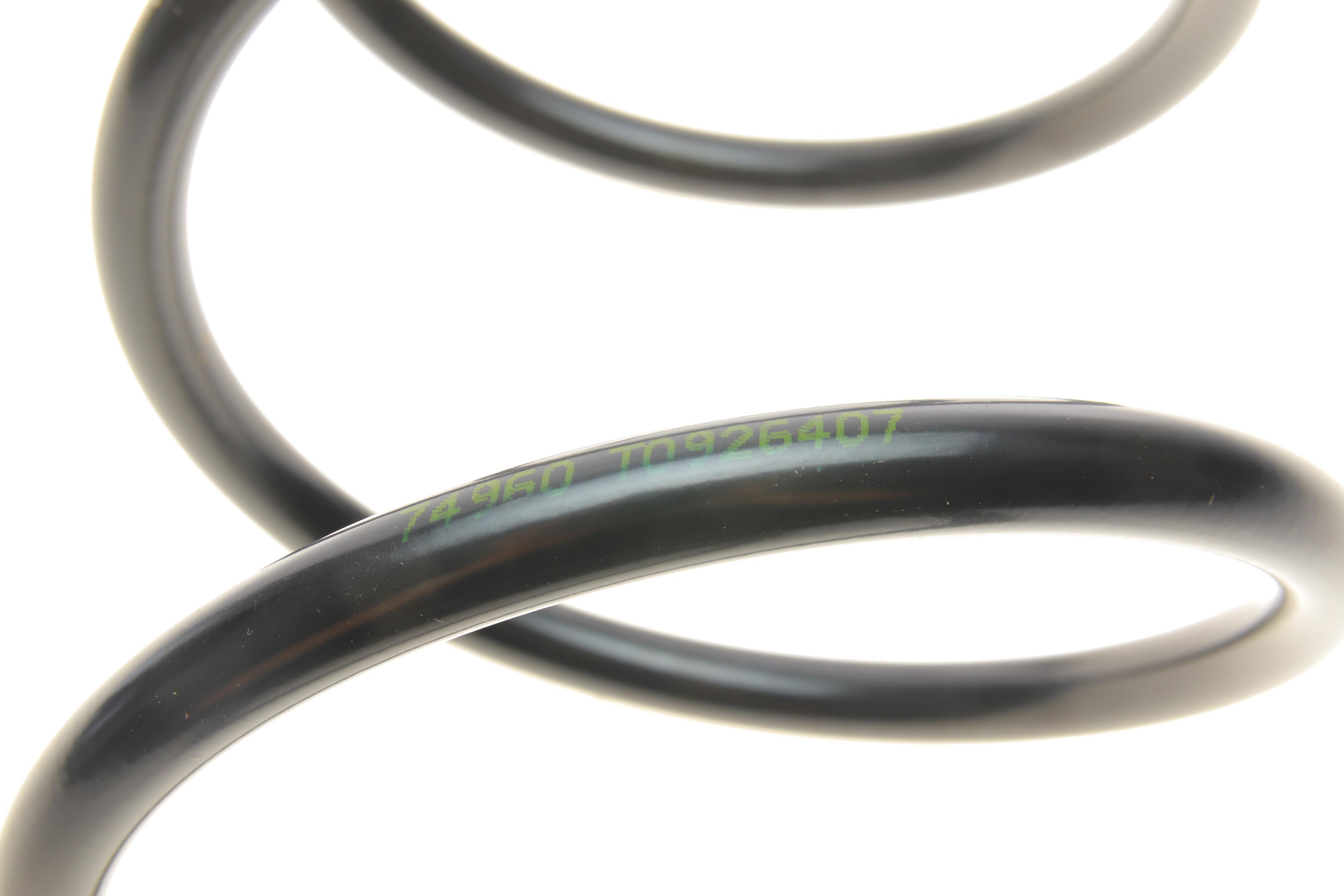 Пружина (передня) Renault Espace IV 1.9-2.0dCi/2.0 02- (вэн)/Vel Satis 2.0 16V Turbo 02- (хэтчбэк)