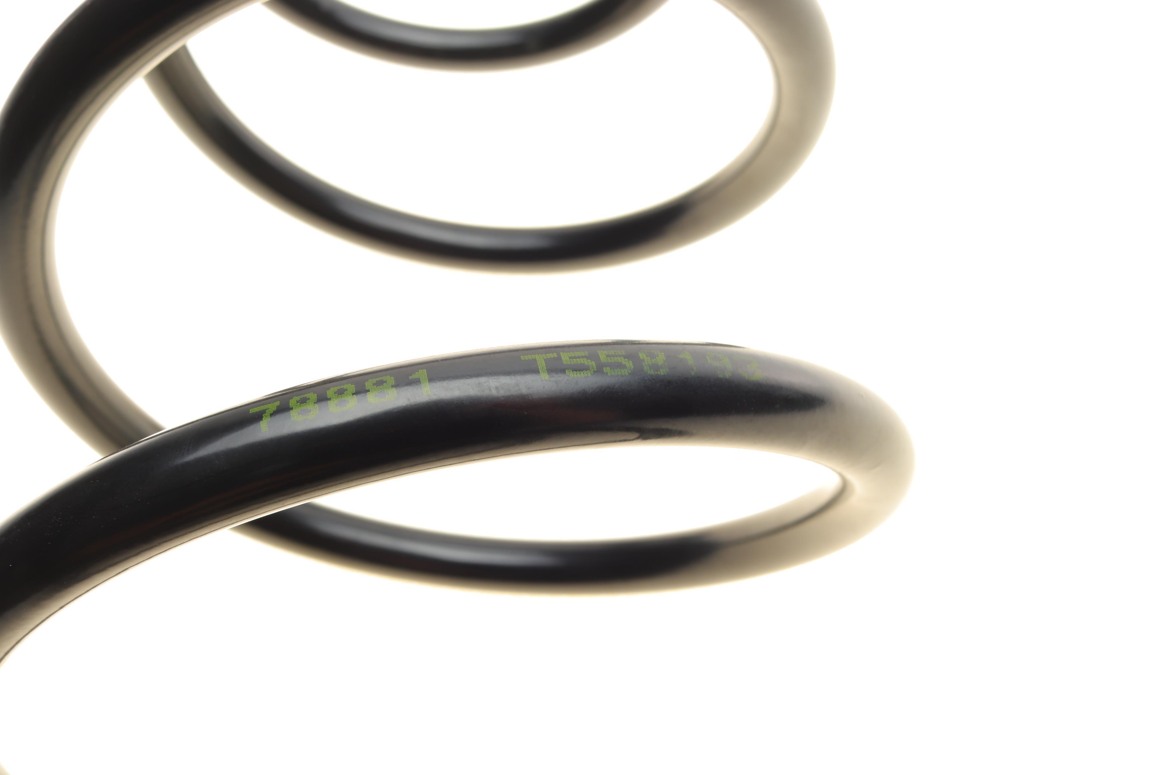 Пружина (передня) Renault Scenic 1.9dCi RX4 00-03 (вен)