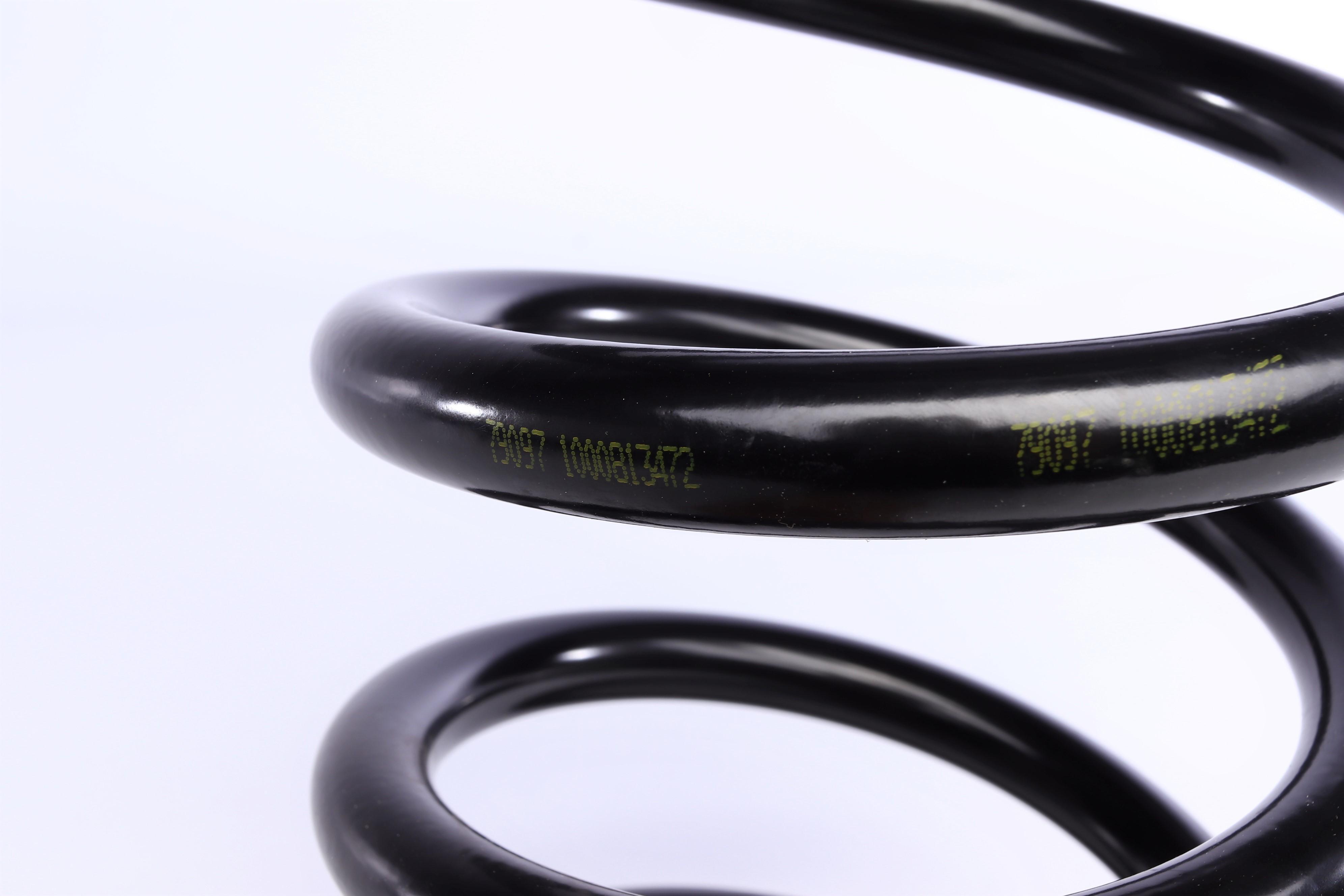 Пружина (задня) Kia Carnival/Grand Carnival III 2.9CRDi 06- (вен)