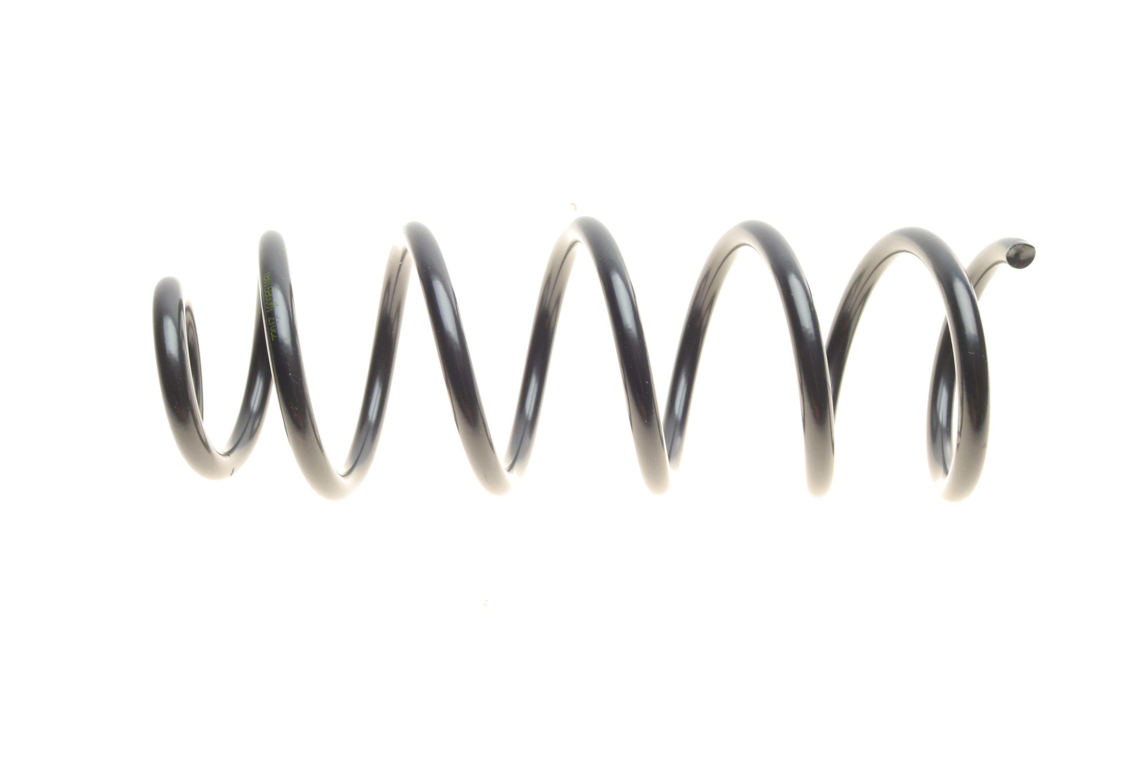 Пружина (задня) Dacia Sandero 1.2TCe/0.9TCe/1.5dCi 12- (накл.зад.ч.)