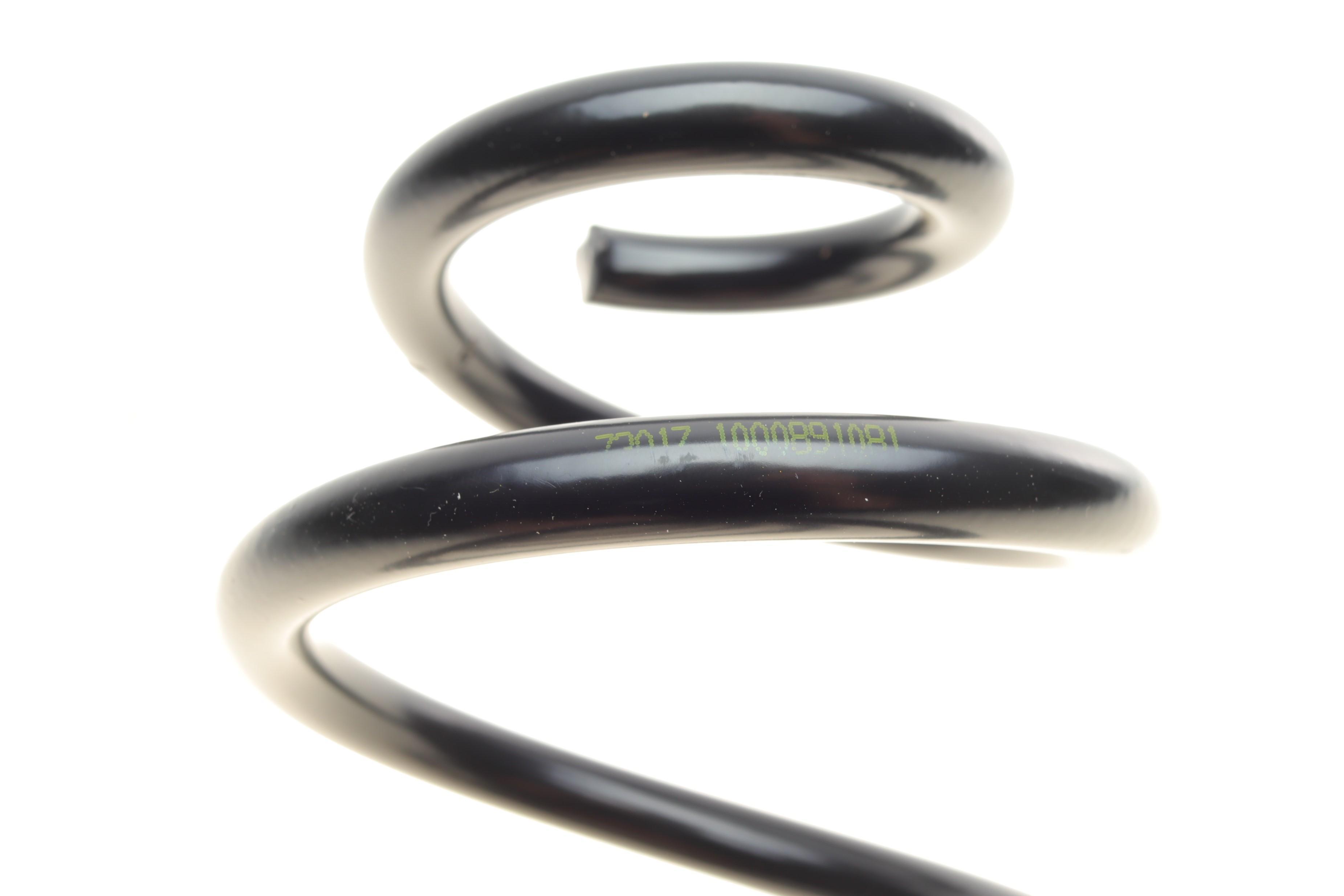 Пружина (задня) Dacia Sandero 1.2TCe/0.9TCe/1.5dCi 12- (накл.зад.ч.)