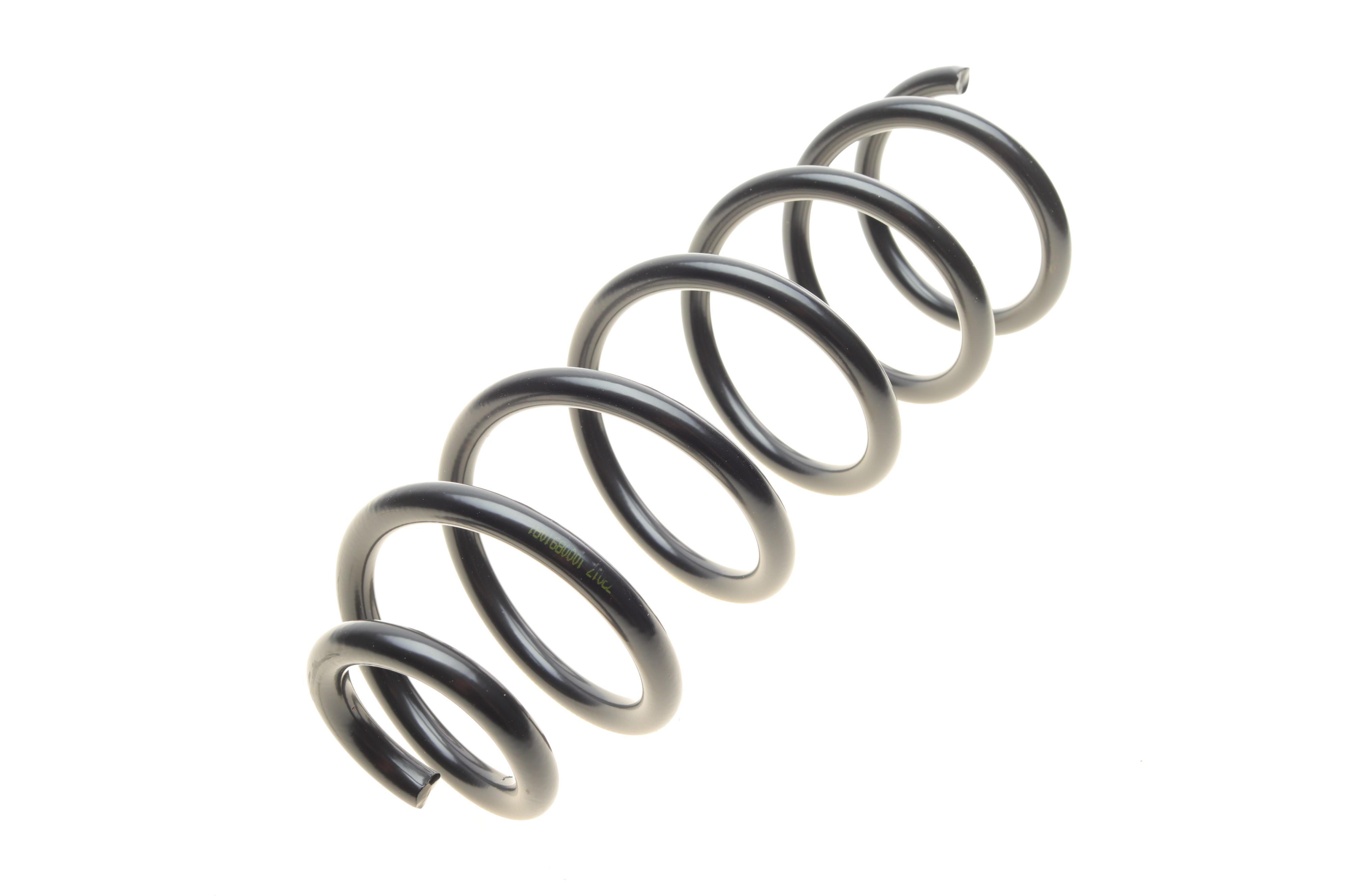 Пружина (задня) Dacia Sandero 1.2TCe/0.9TCe/1.5dCi 12- (накл.зад.ч.)