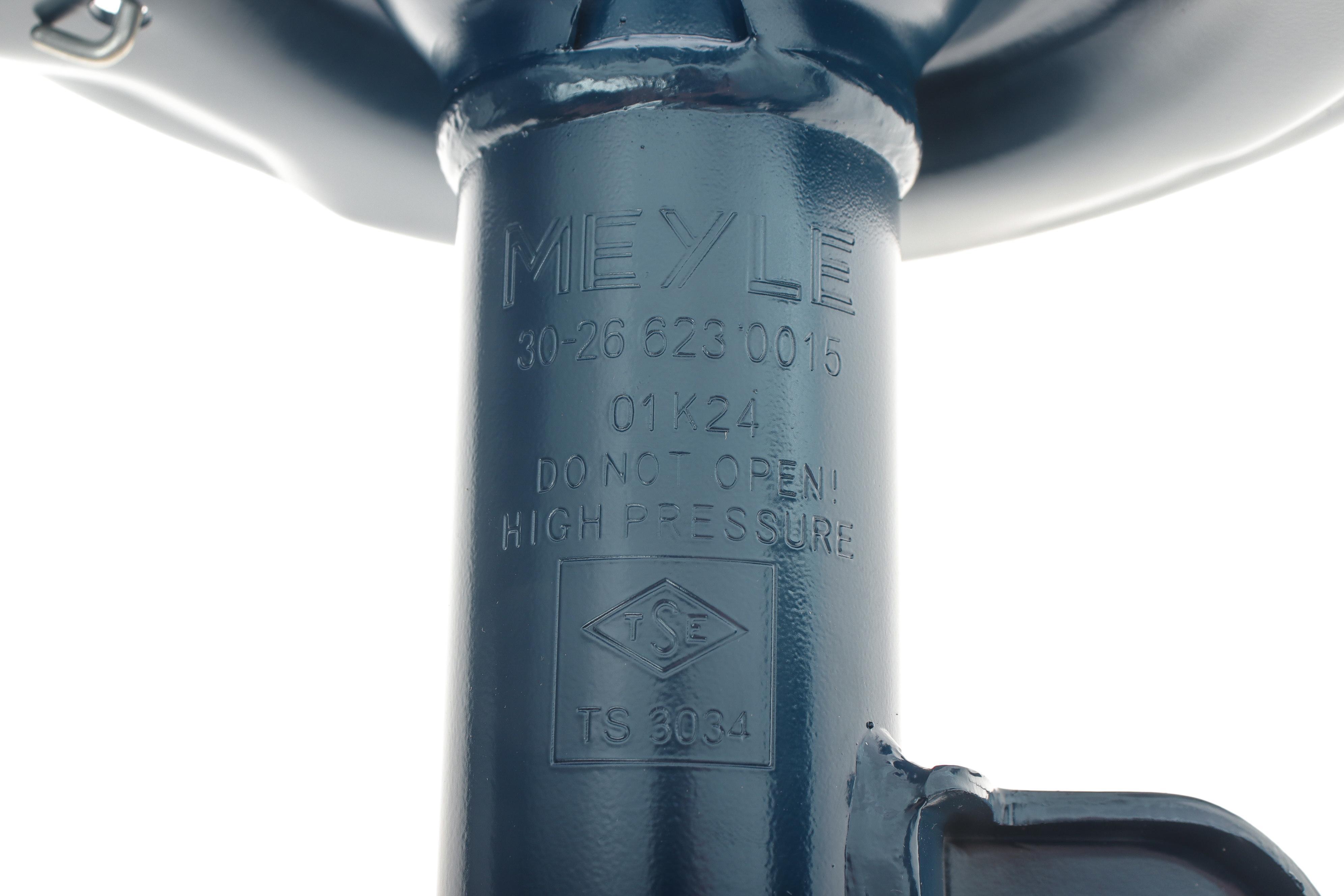 Амортизатор (передній) Toyota RAV4 06- (R)