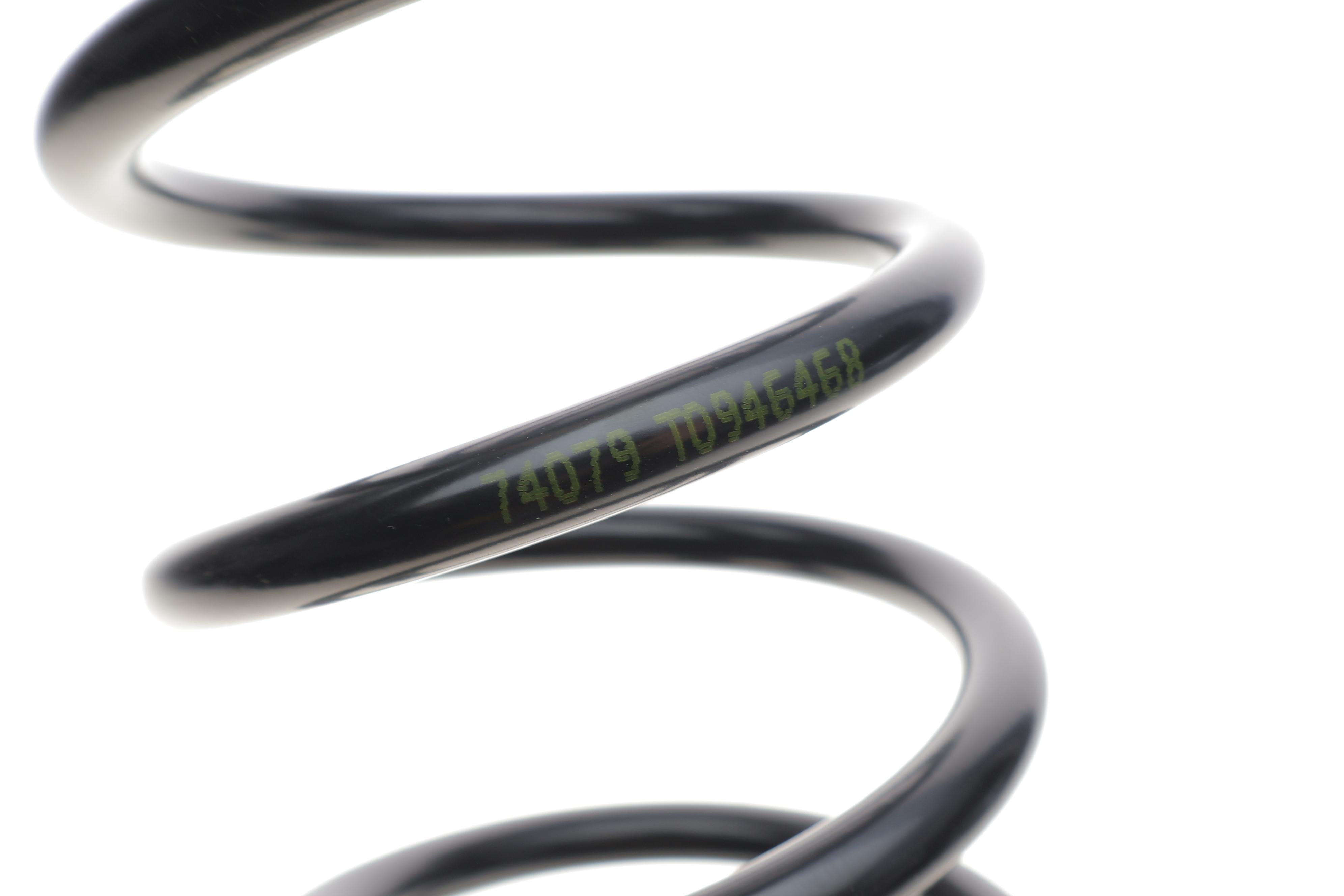 Пружина (задня) Ford Focus 1.4-2.0 16V/1.8DI/TDDi/TDCi 98-04 (седан/нах.зад.частина)