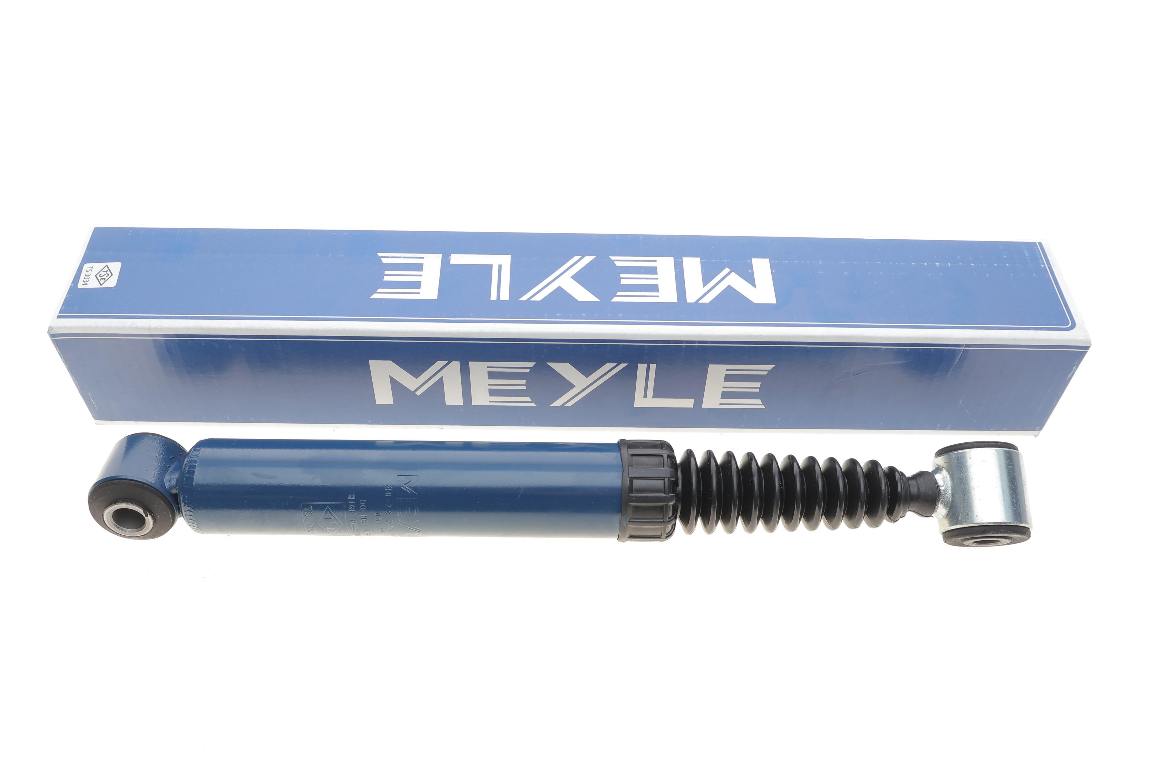 Амортизатор (задній) Fiat Scudo/ Citroen Jumpy 07-