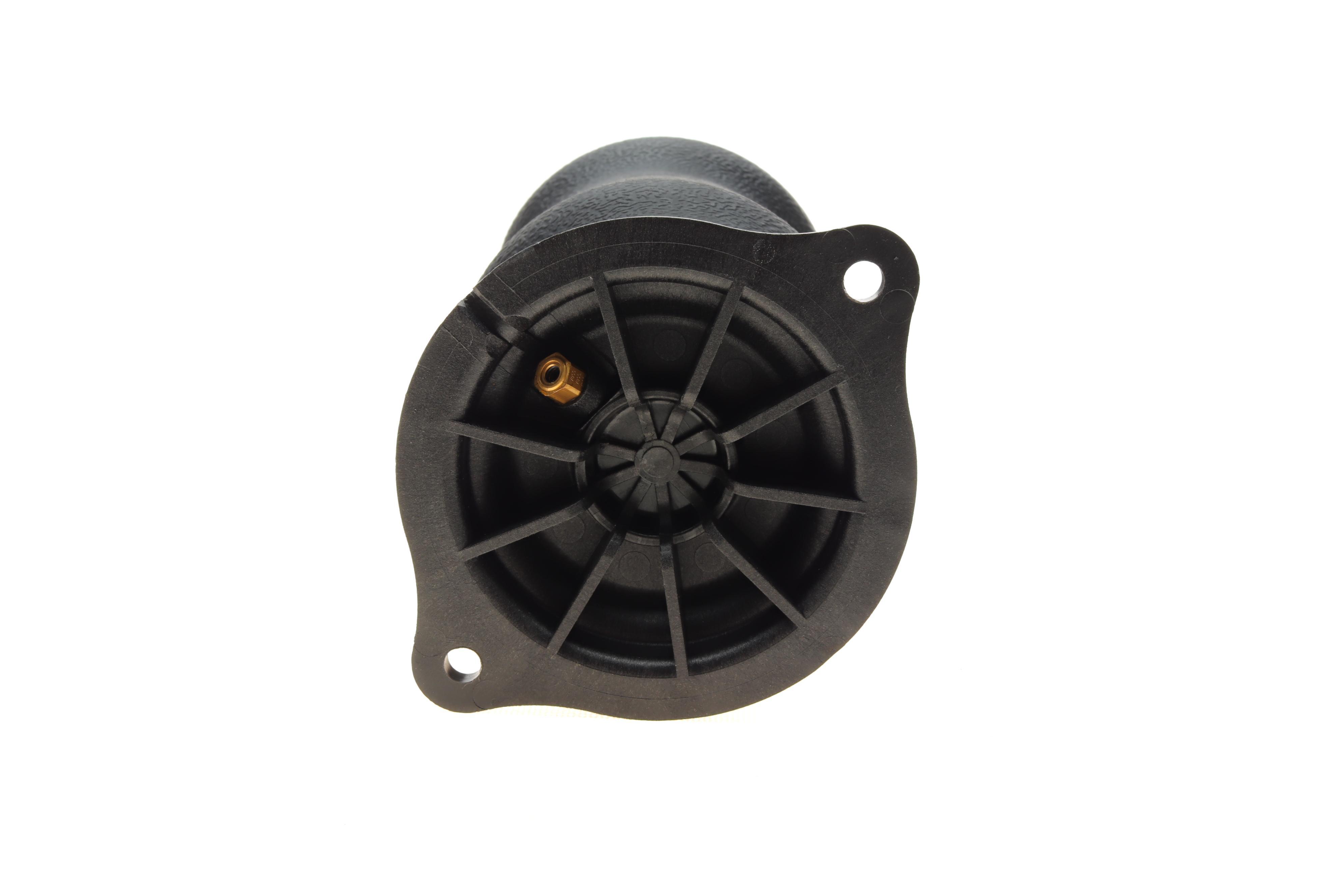 Подушка пневмопідвіски (ззаду) MB Vito (W639) 03-