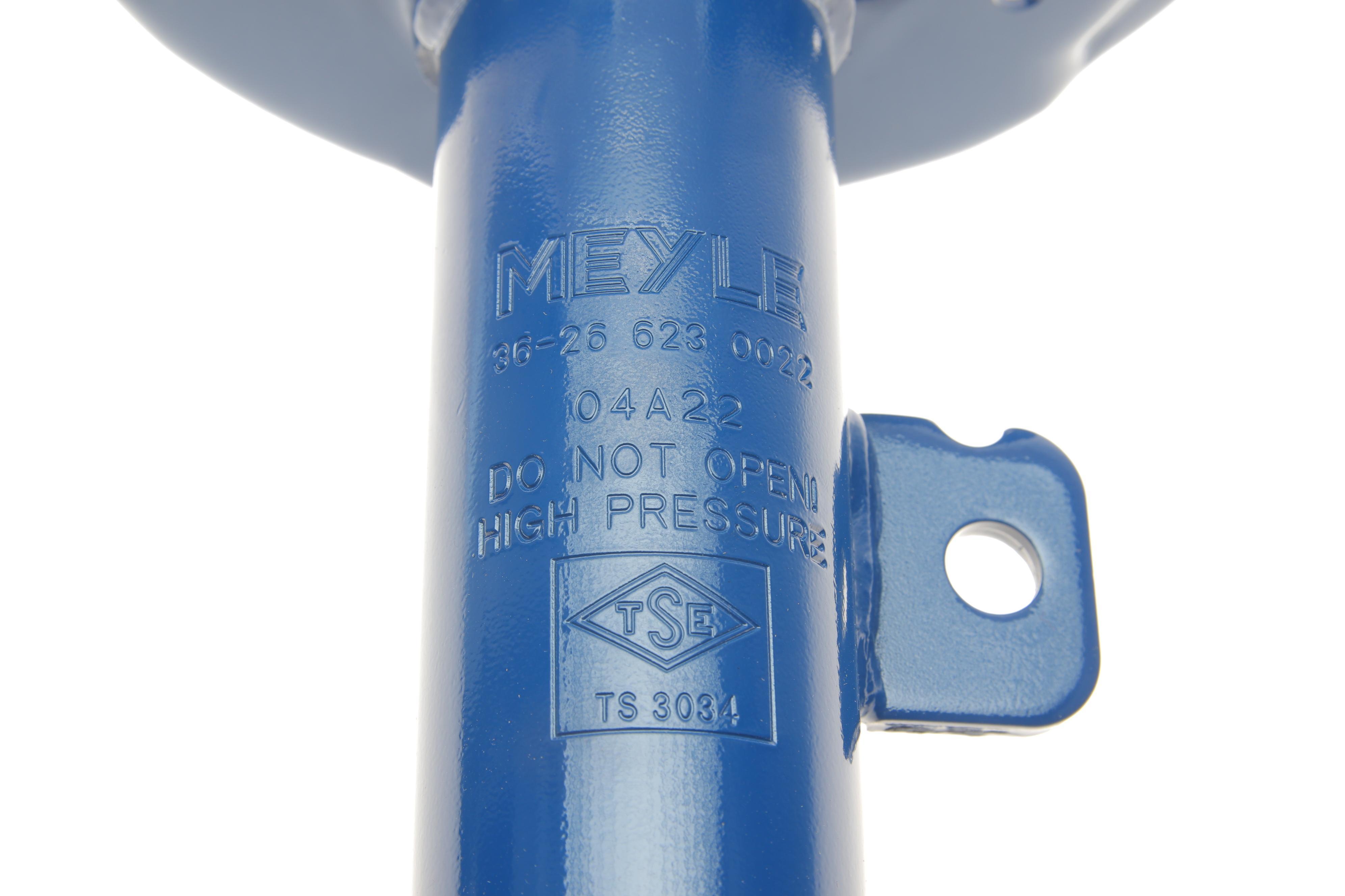 Амортизатор (передній) Nissan Qashqai II 13-/ Renault Kadjar 15- (L)