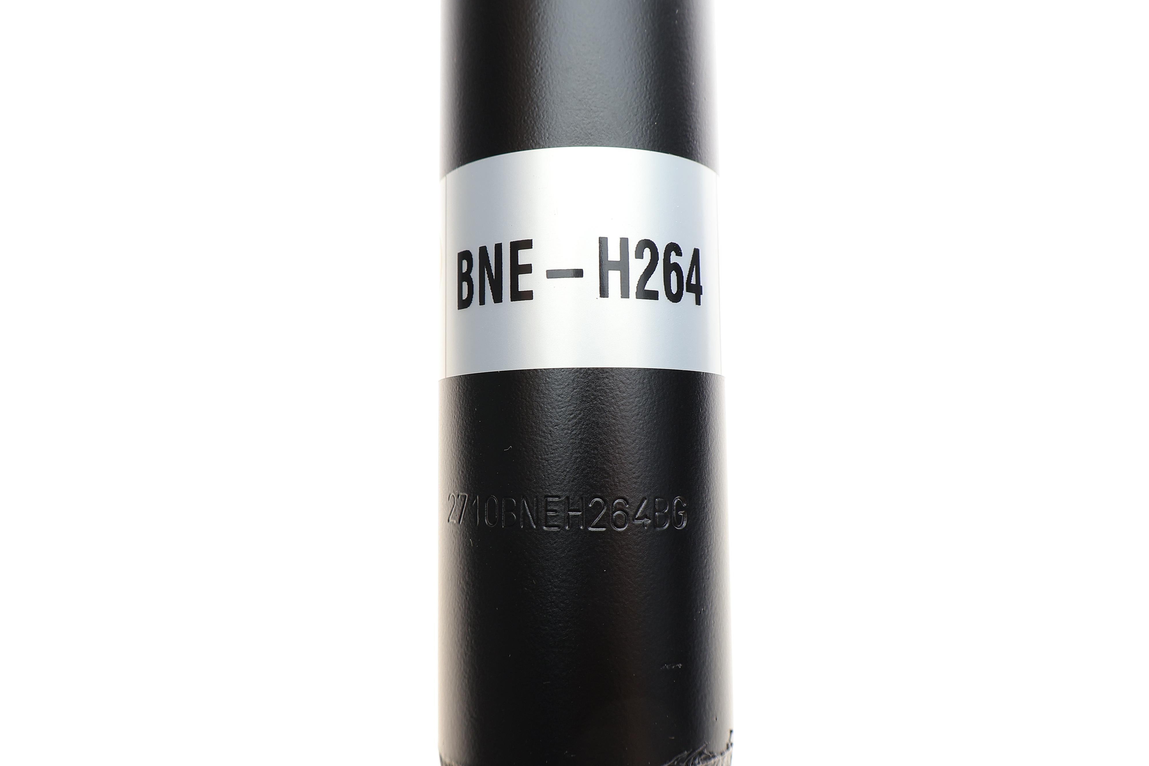 Амортизатор (задній) Ford Transit 00-06 (B4)