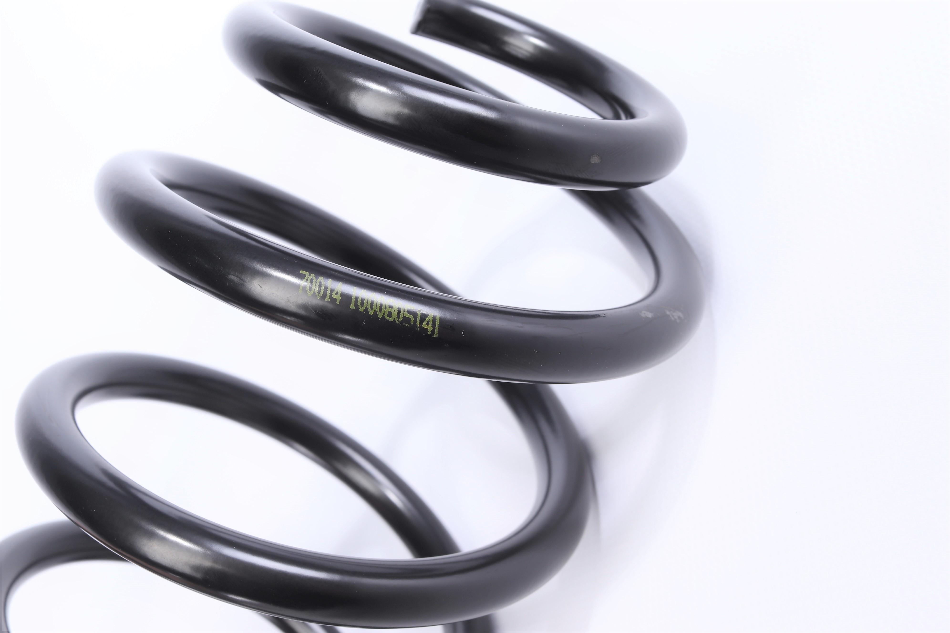 Пружина (задня) Honda Civic VIII 1.8 05-12 (седан) (FD, FA)