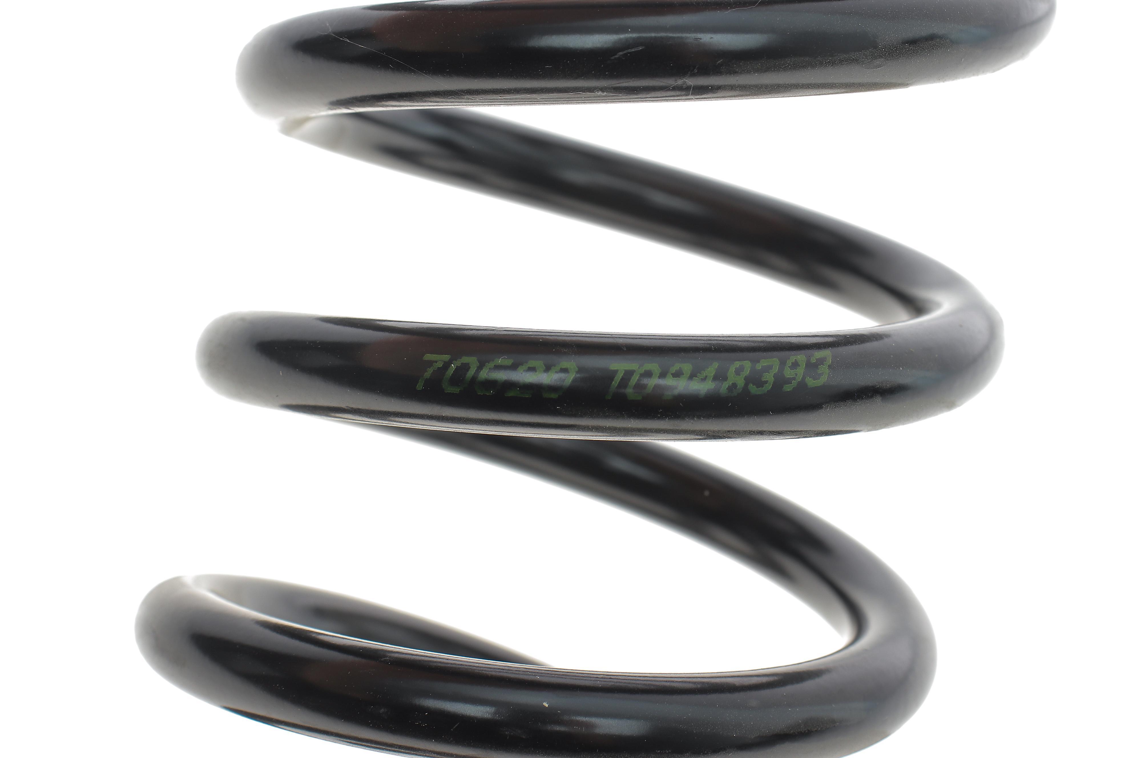 Пружина (задня) Renault Clio 0.9TCe/1.2TCe/1.5dCi 12- (хетчбек)