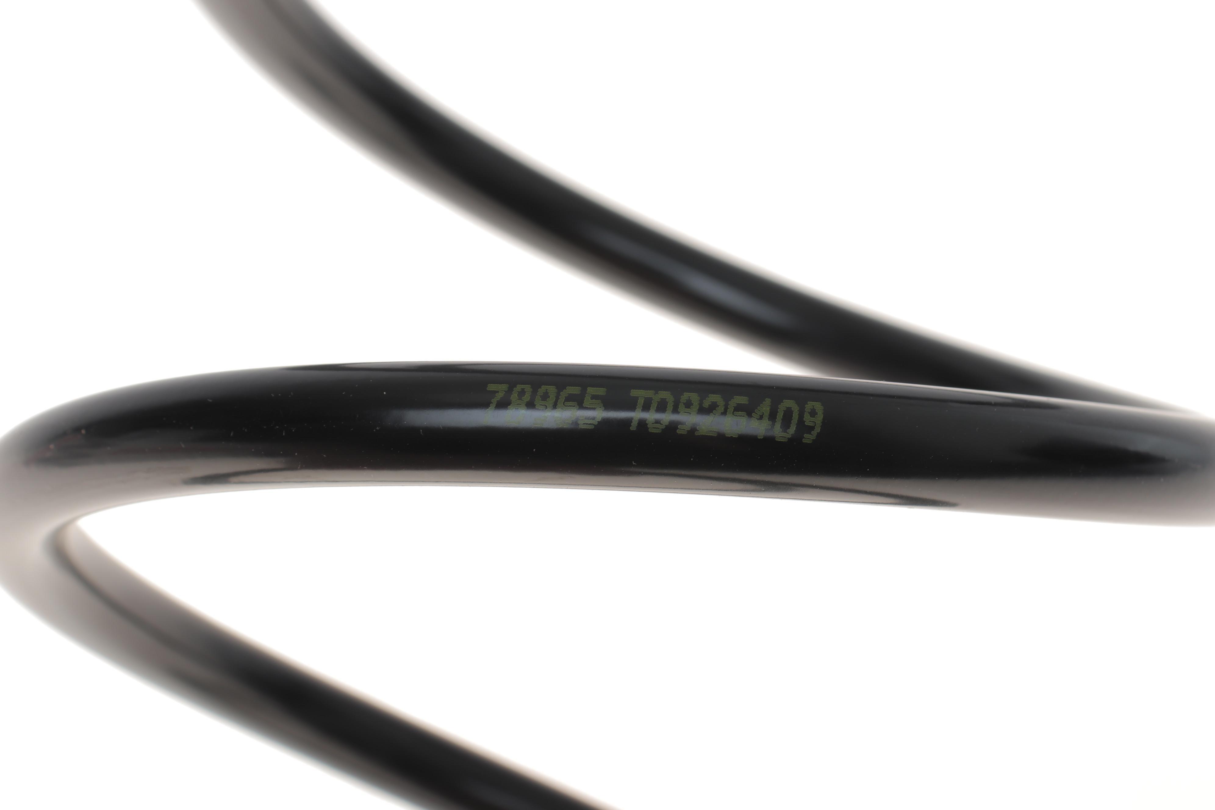 Пружина (передня) Kia Carens III 1.6CRDi 10-/2.0CVVT 06- (вен)