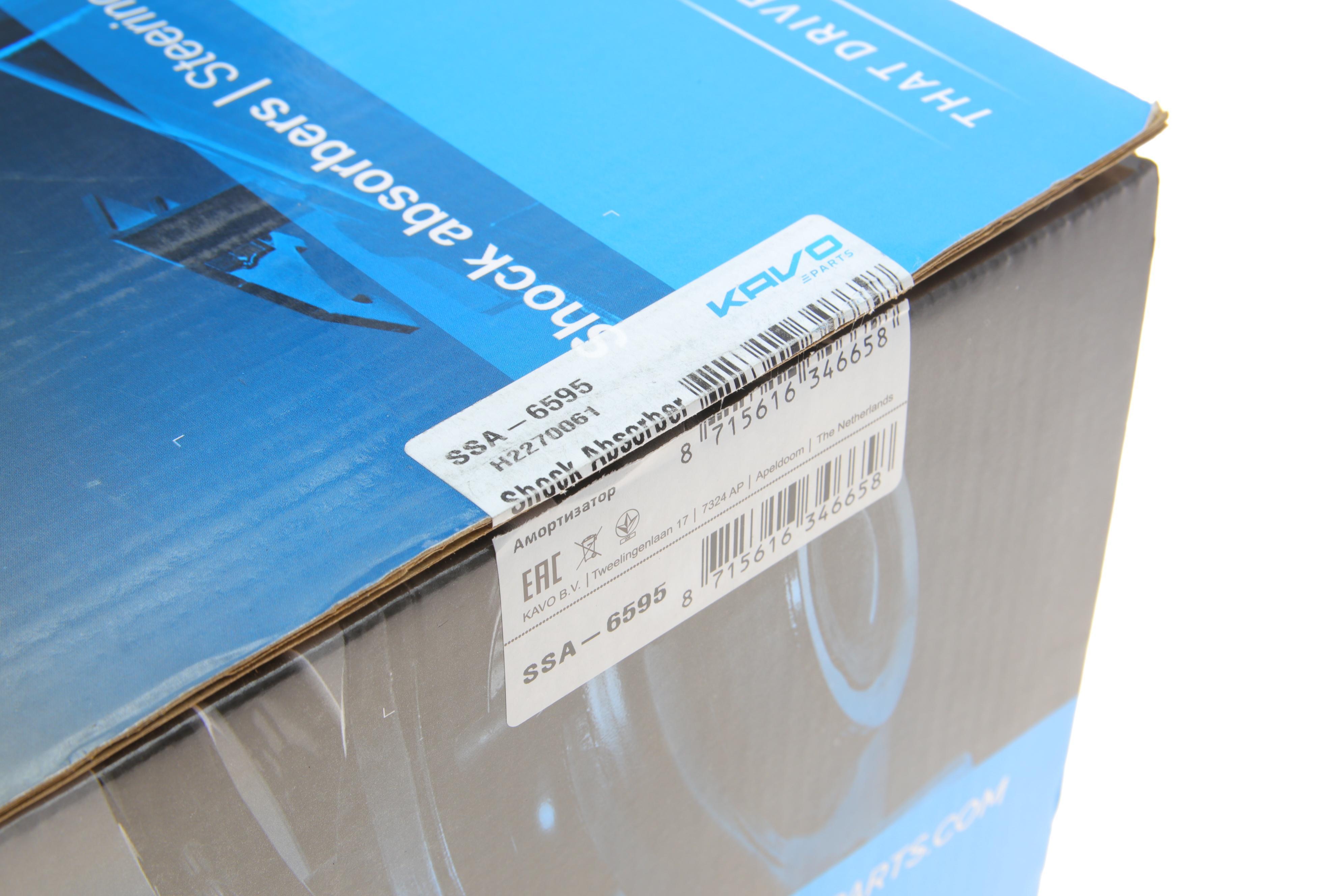 Амортизатор (передній) Nissan Qashqai II 13-/ Renault Kadjar 15- (R)