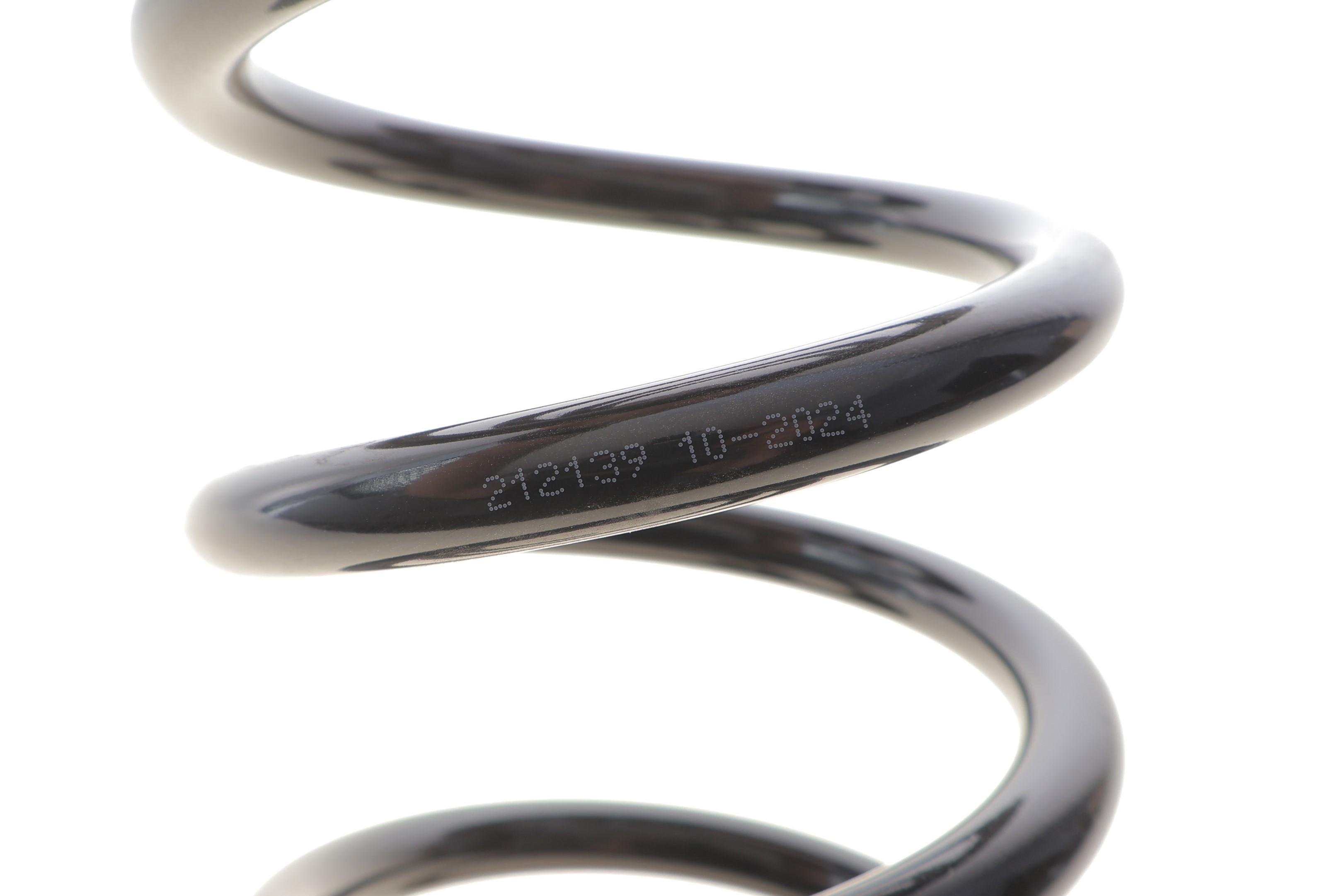 Пружина (задня) Ford C-Max 1.6-2.0/1.6-2.0TDCI 07-10