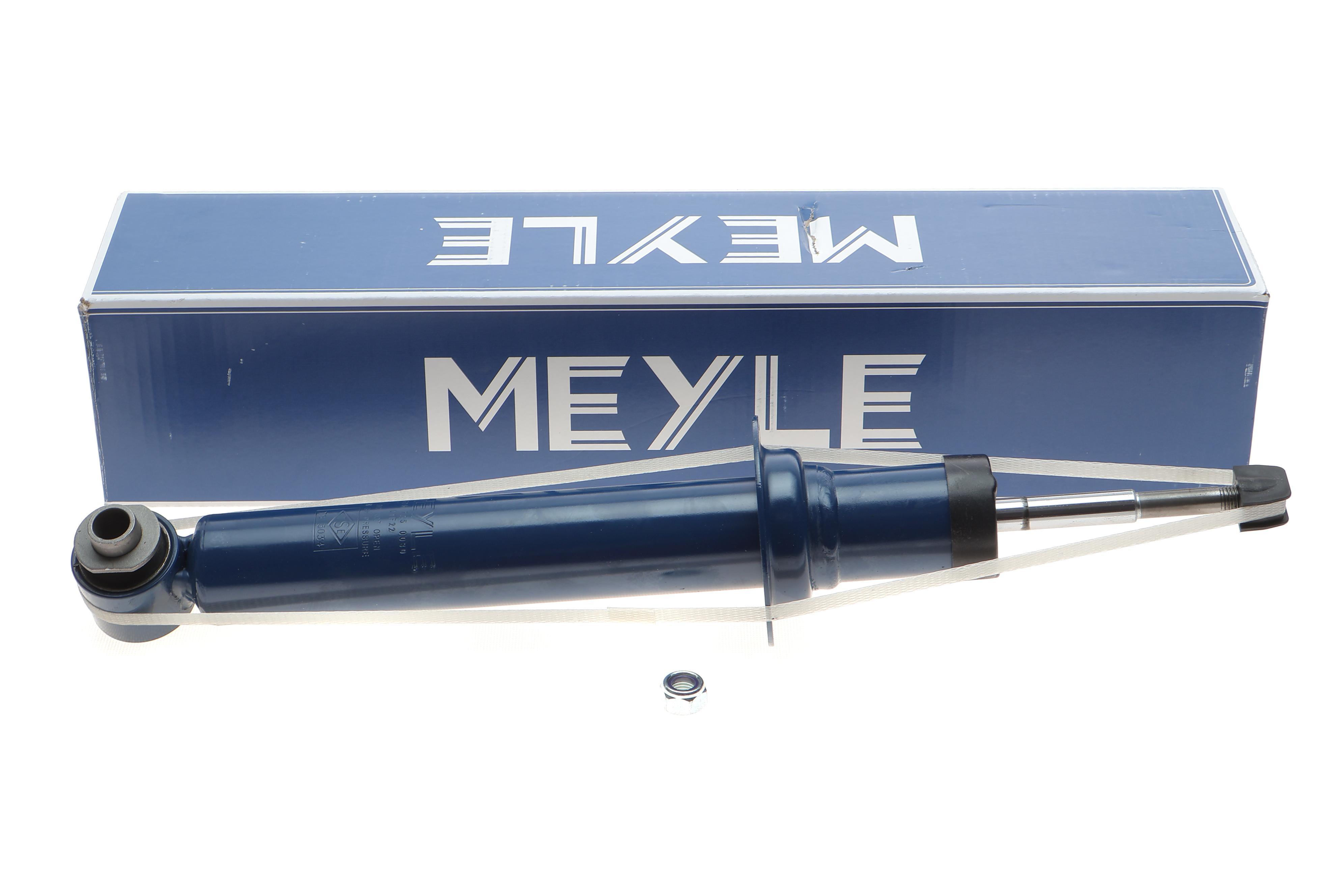 Амортизатор (задній) BMW 5 (E60) 04-10